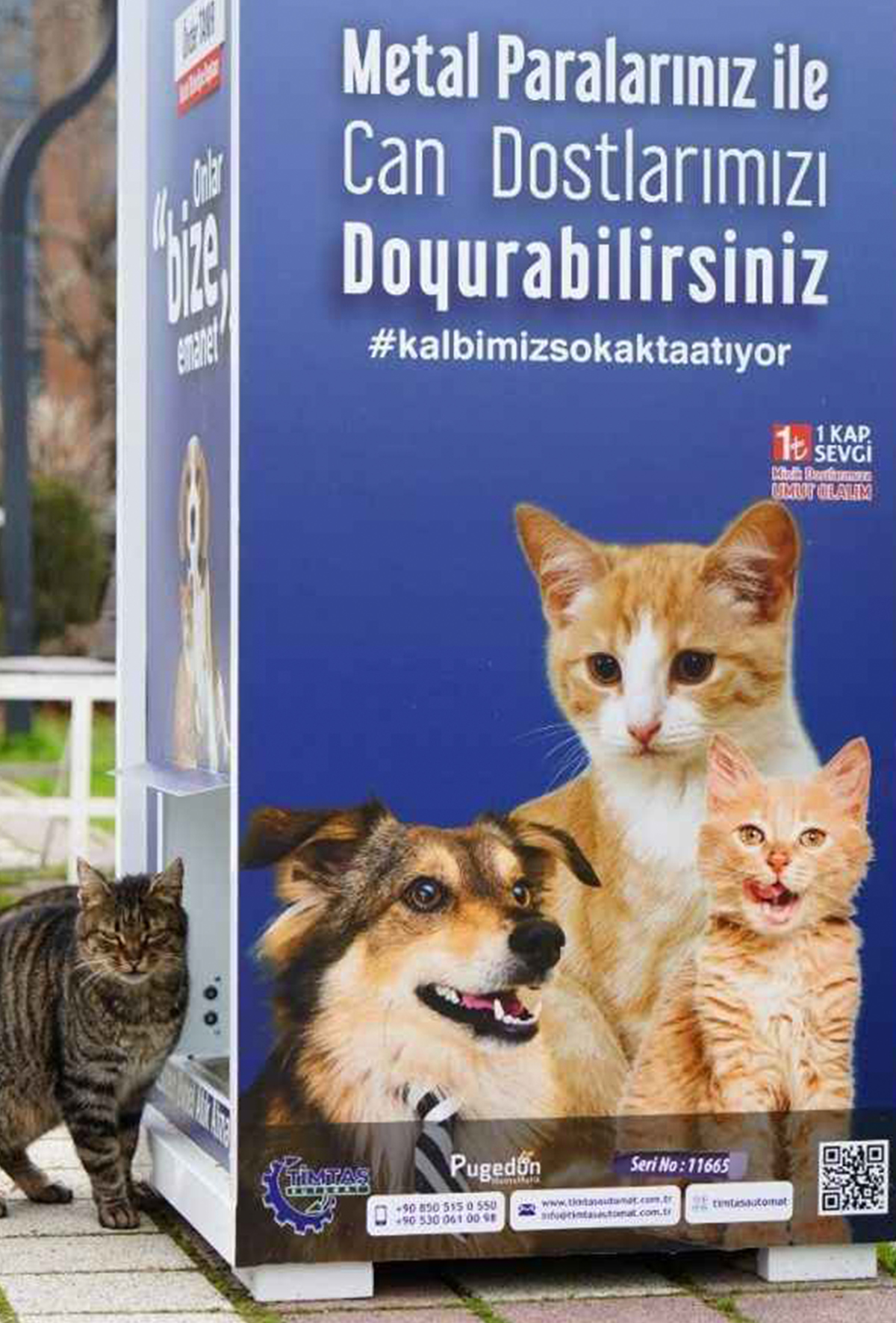 Bursa’da bir yenilik: Mamamatik