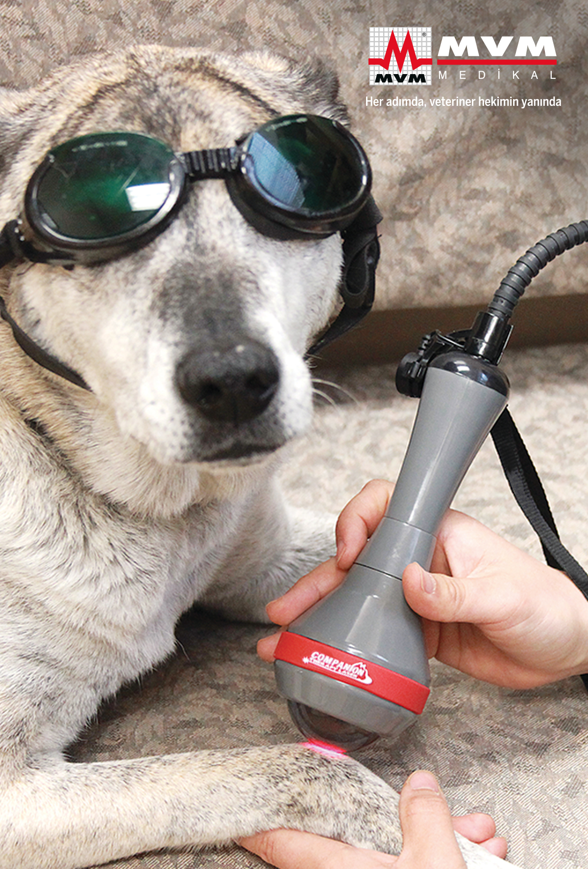 4. Sınıf lazer terapiyle kronik durumlarda uygulanan tedavi yöntemleri