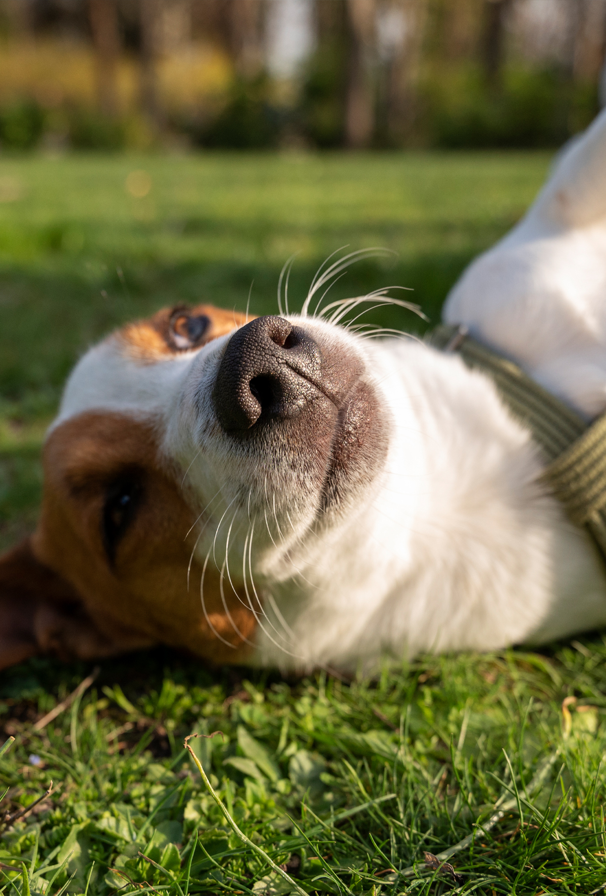 Epilepsi ve nöbet: Mesleki terminolojiye ne kadar hakimiz?