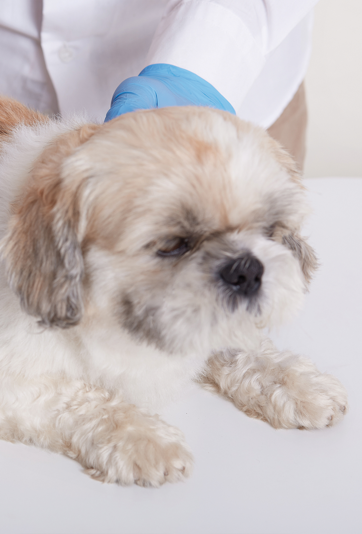 GI yabancı cisimlerde konservatif tedavi değerlendirildi!