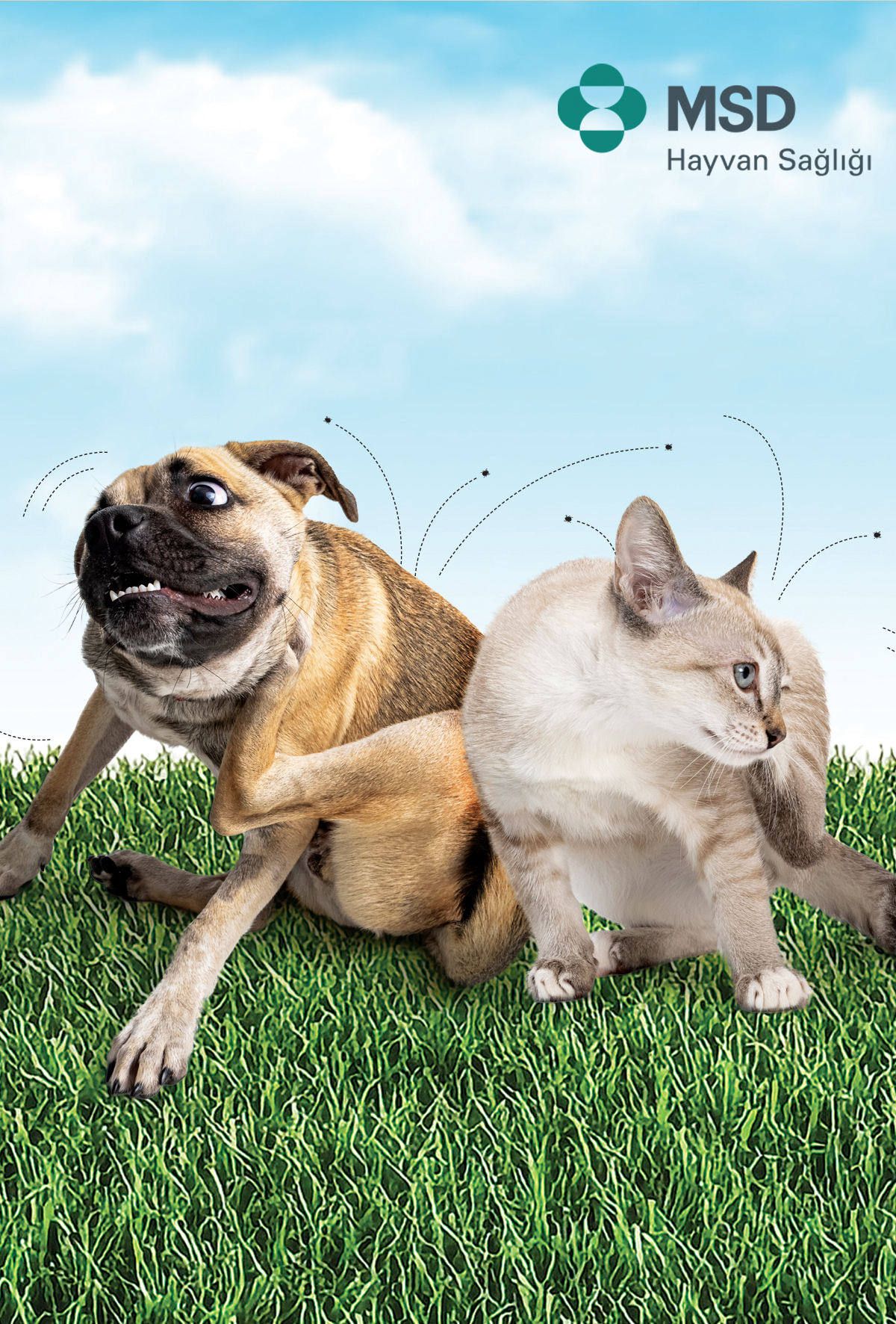 Bravecto’nun Klinik Performansı ve Müşteri Memnuniyeti Üzerine Etkileri