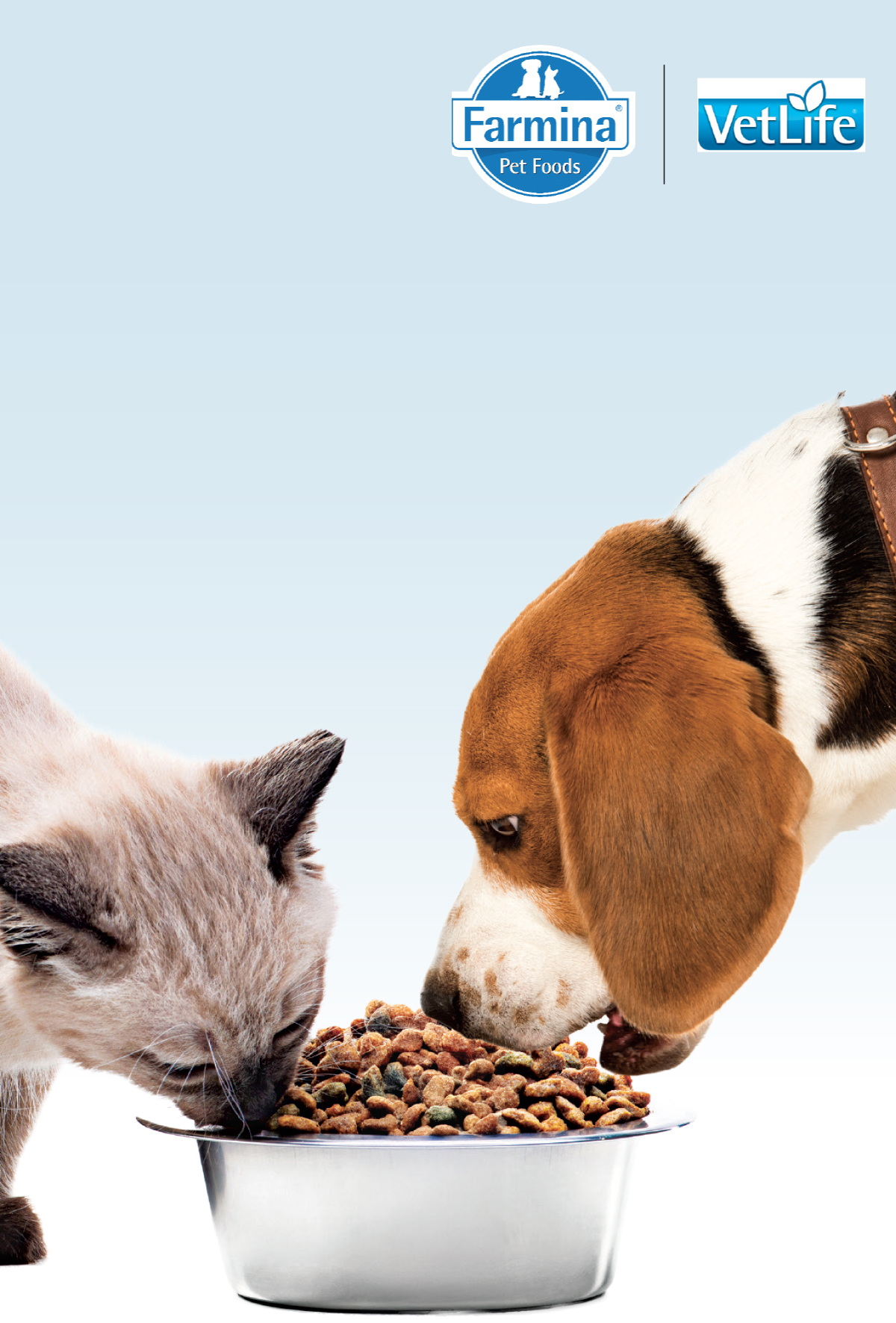 Süper besin: Spirulina