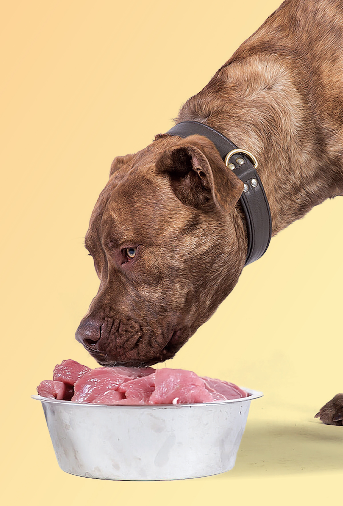 Çig gıda diyetlerinde antimikrobiyal direnç!