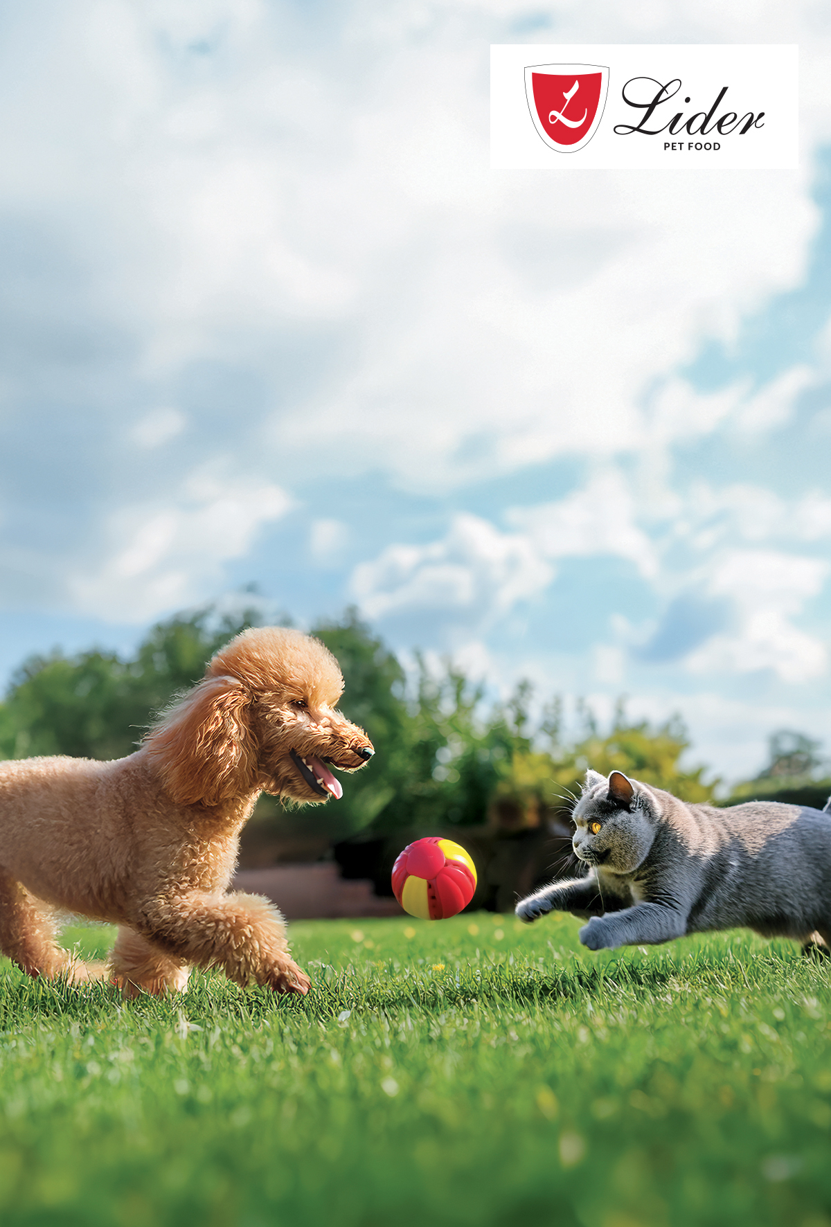 Kedi ve köpeklerin eklem rahatsızlıklarında Glukozamin ve Kondroitin Sülfatın önemi