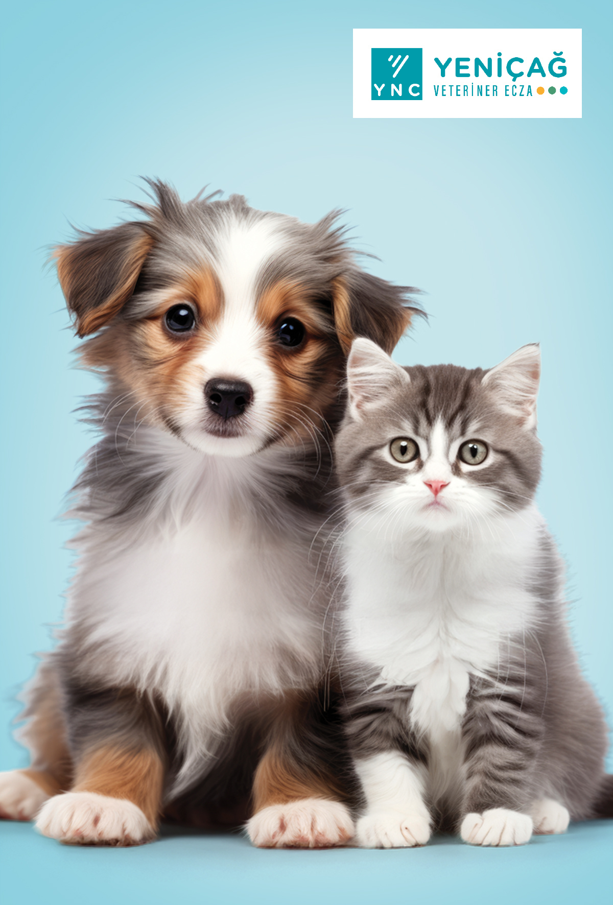 Evcil hayvanların üriner sistem sağlığında yenilikçi yaklaşımlar