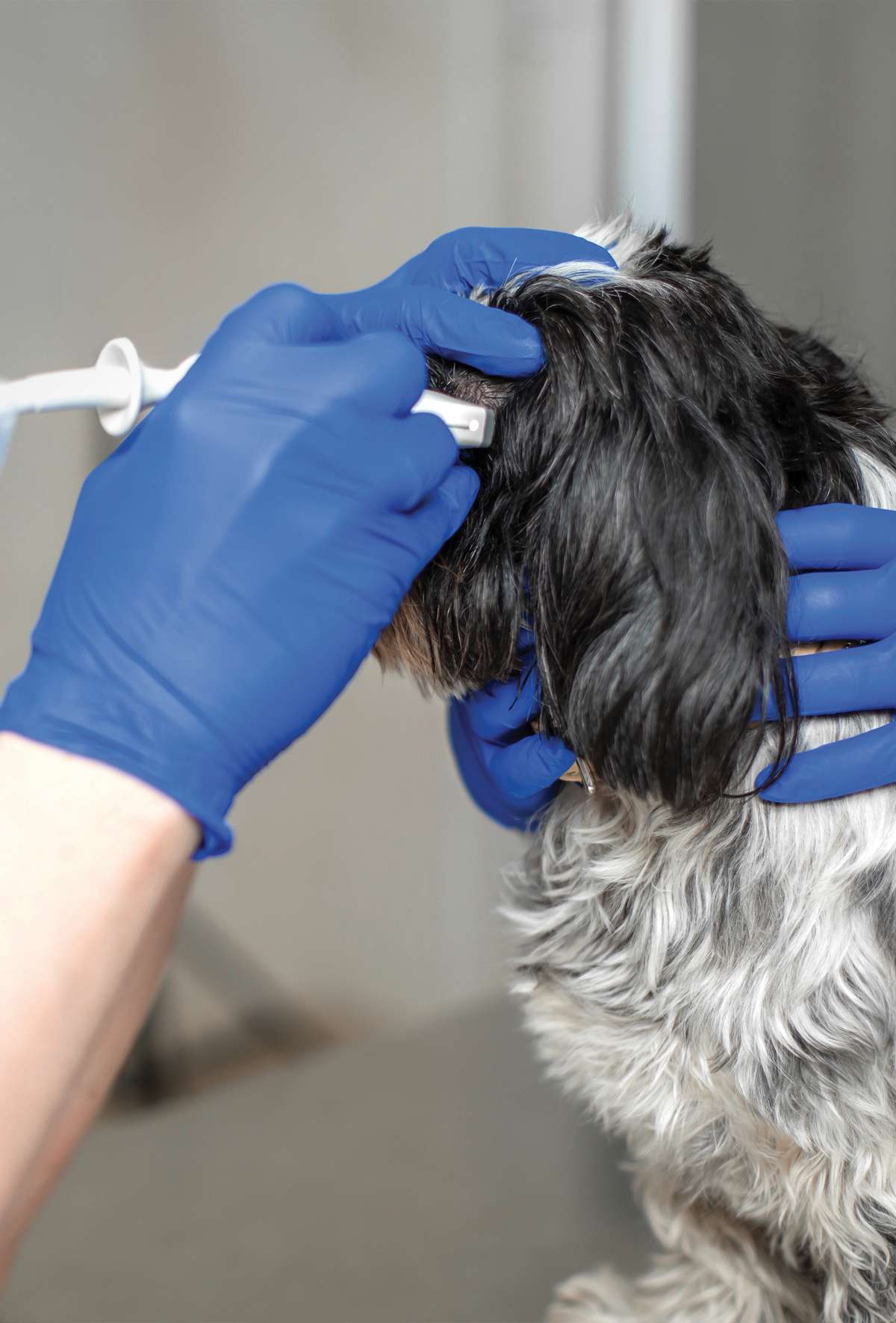 Göz hastalıklarında ultrasonografiden nasıl yararlanılır?