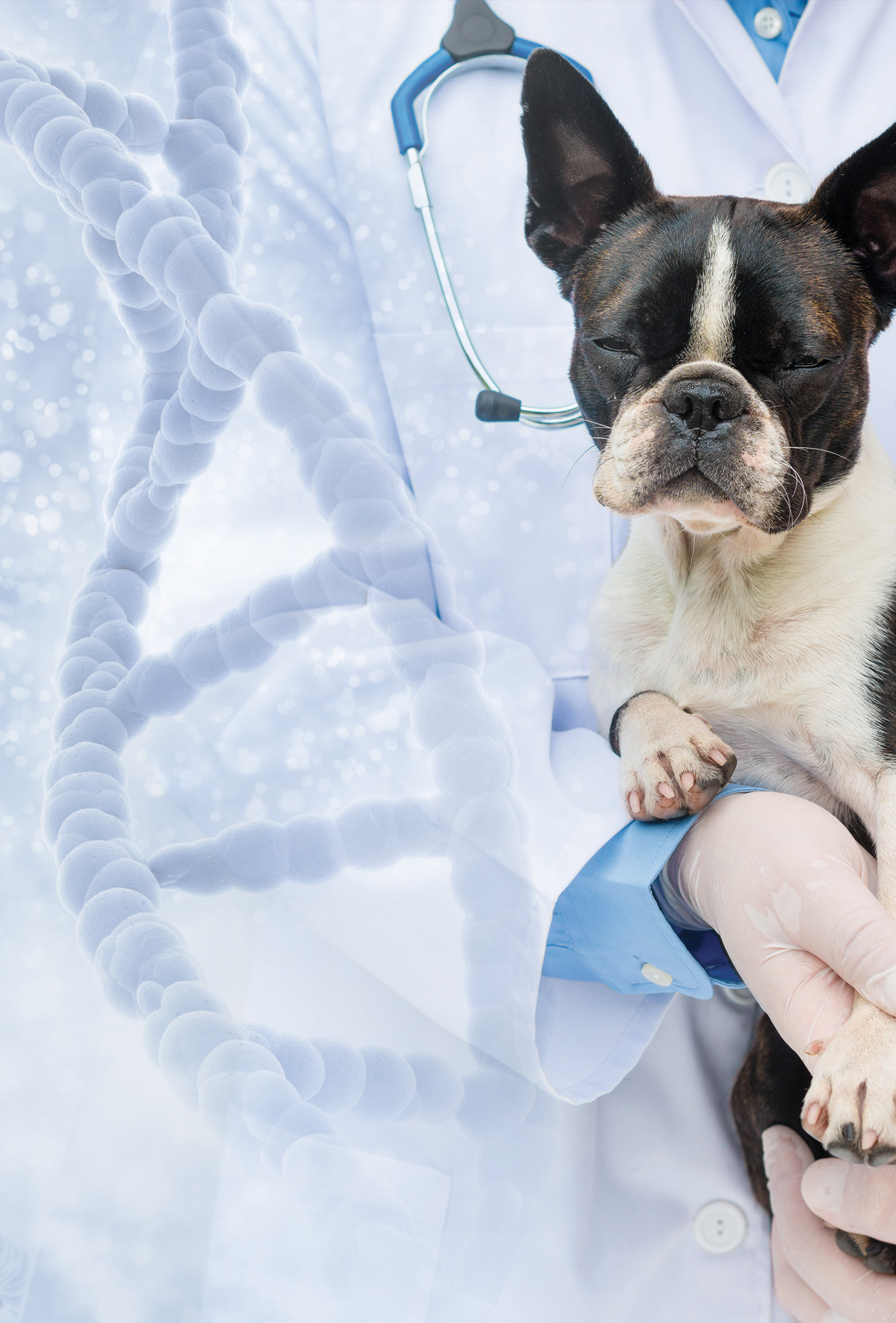 Geriatri geride kaldı yeni çağ: Longevity