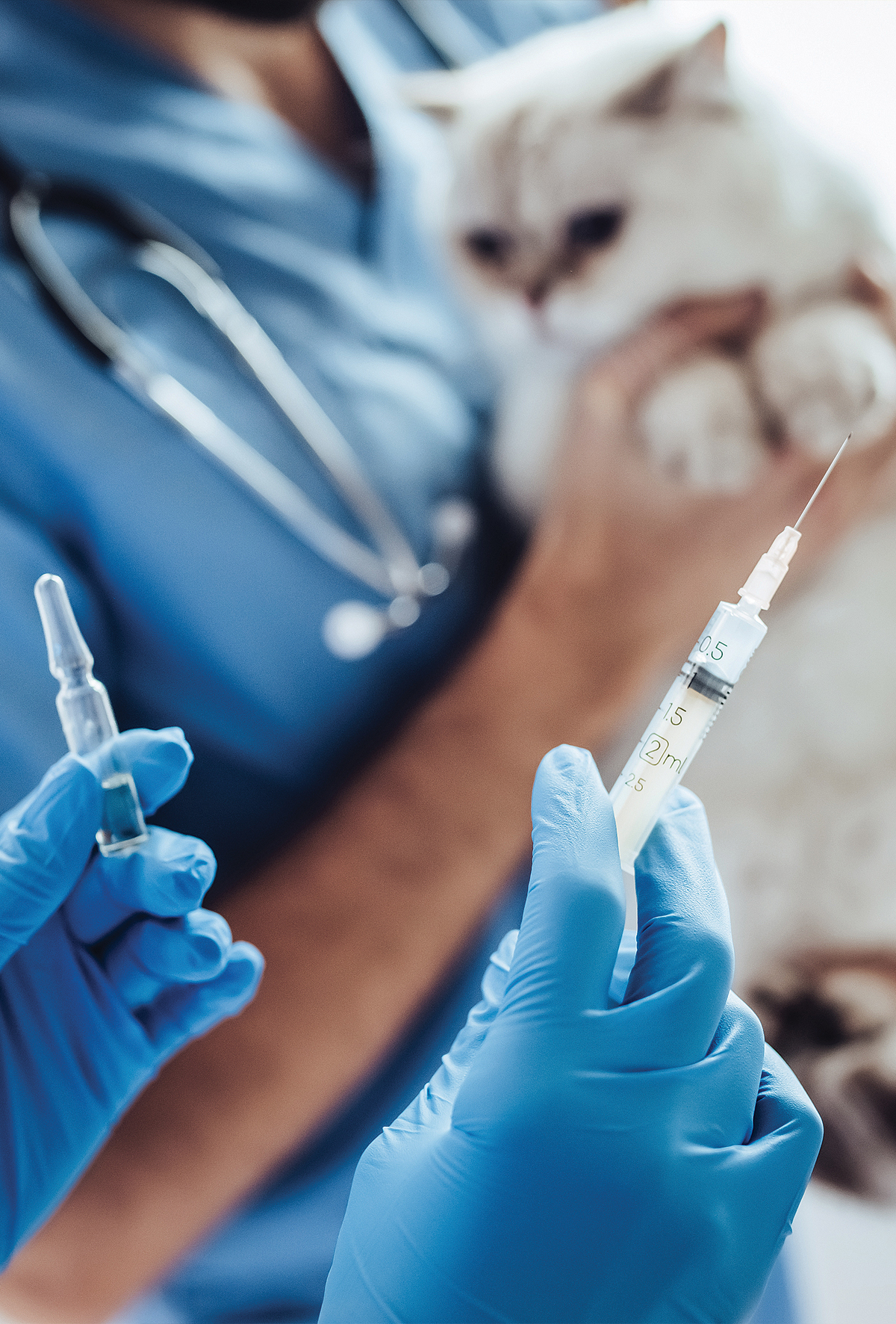 FIP tedavisinde mortaliteyi öngören faktörler