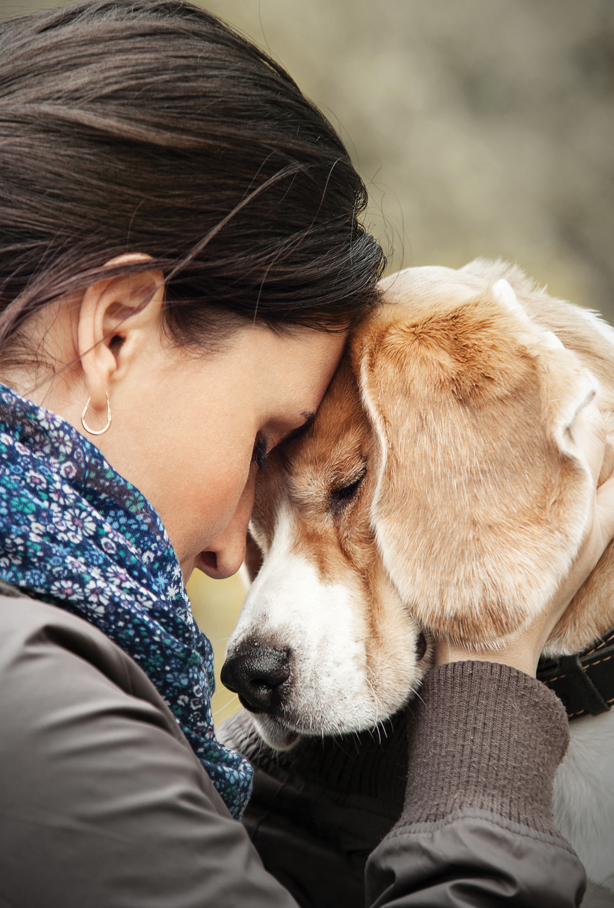 Köpekler stresli insanları hissedebilir mi?