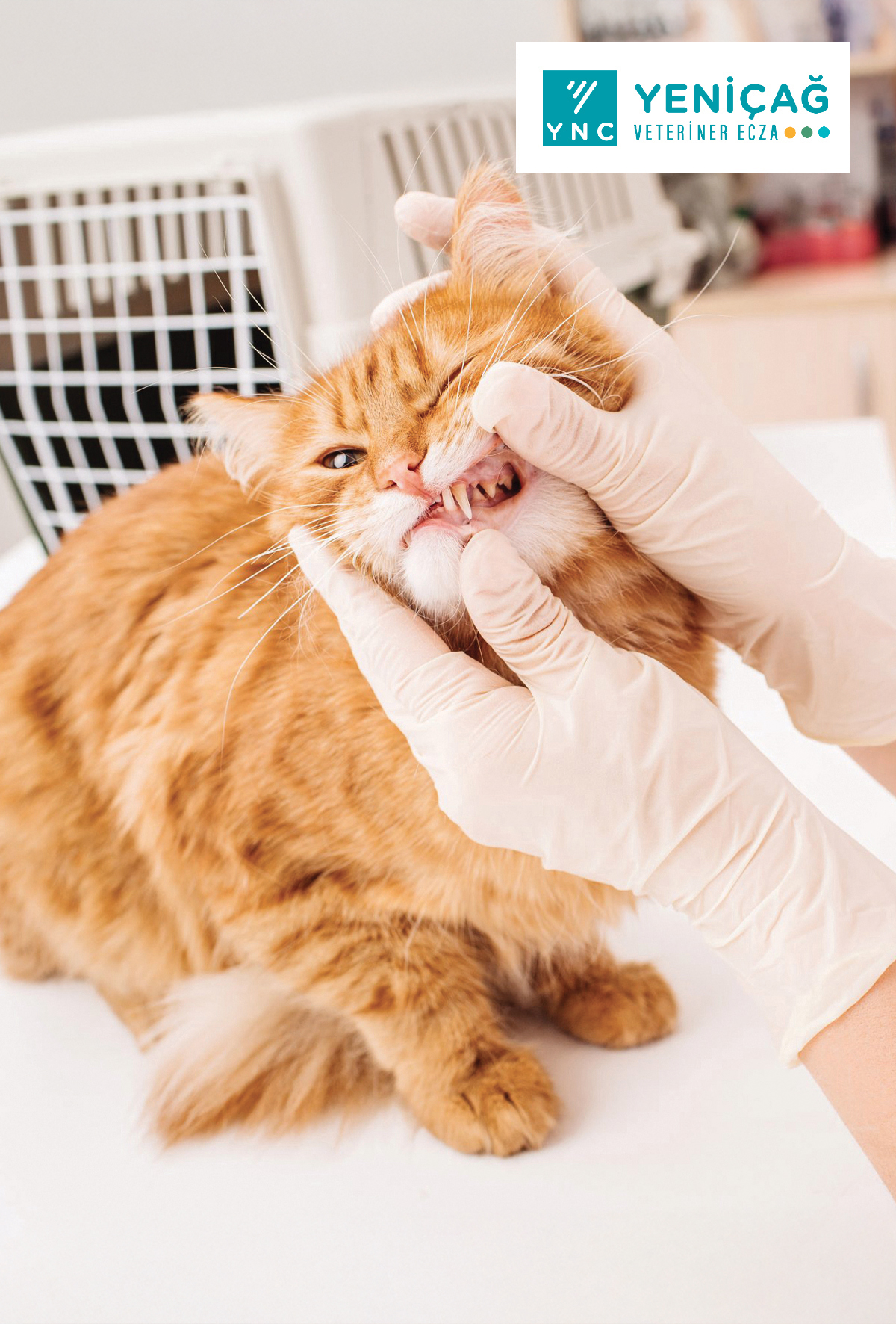 Yeniçağ, Oral Cure’ü ile ağız sağlığında yeni bir çağ başlatıyor 