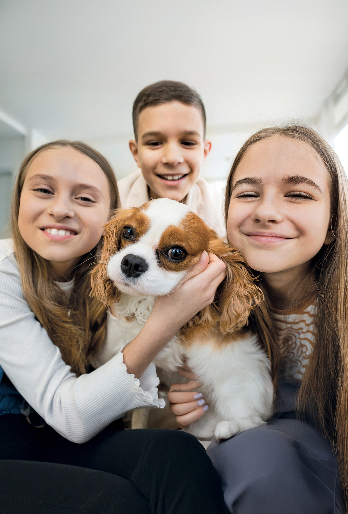 Küçük ırk köpekler neden daha sosyal?