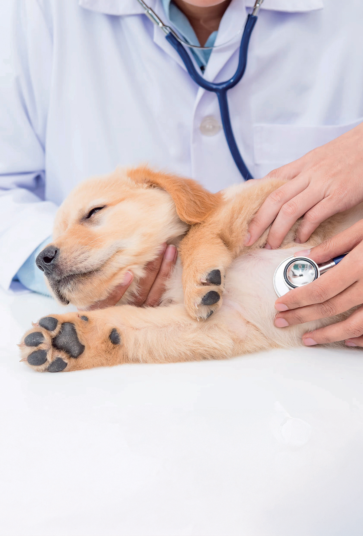 Kannabis toksikasyonu tanısında güvenilir yöntem arayışı sürüyor