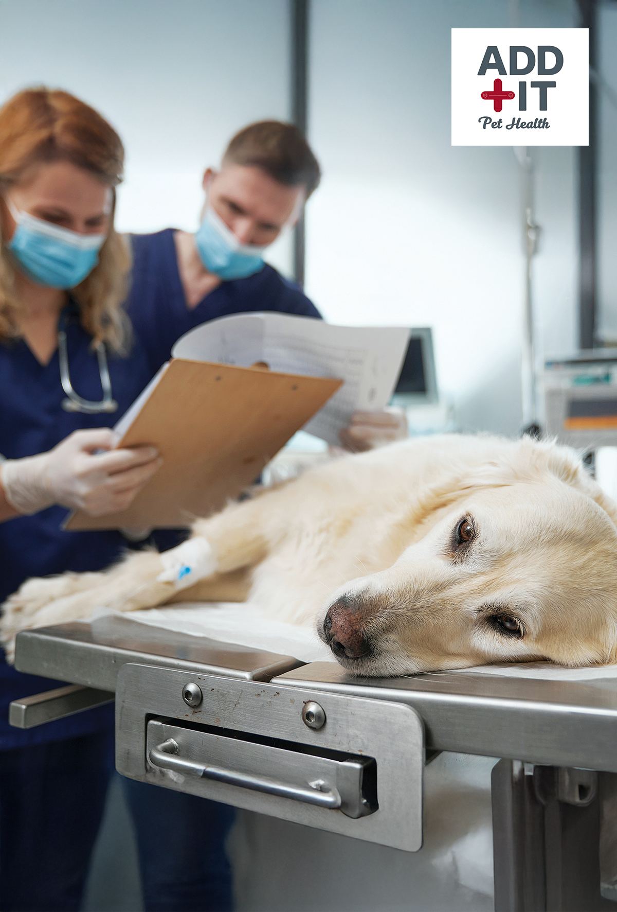 Kronik inflamasyon, insülin direnci ve metilasyon: Yeni yaklaşım