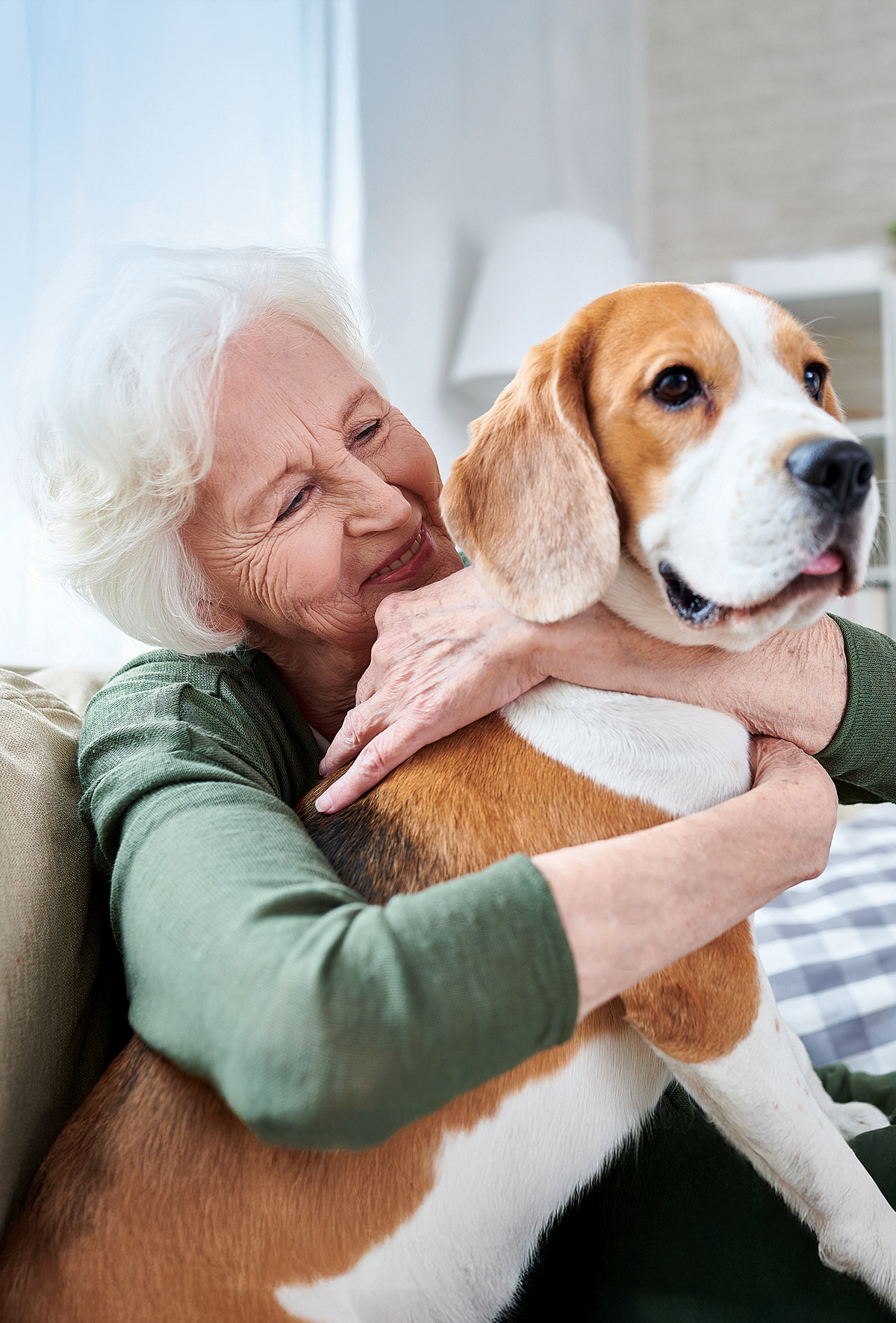 Kedi ve köpek sahipliği, beynin yaşlanmasını yavaşlatıyor
