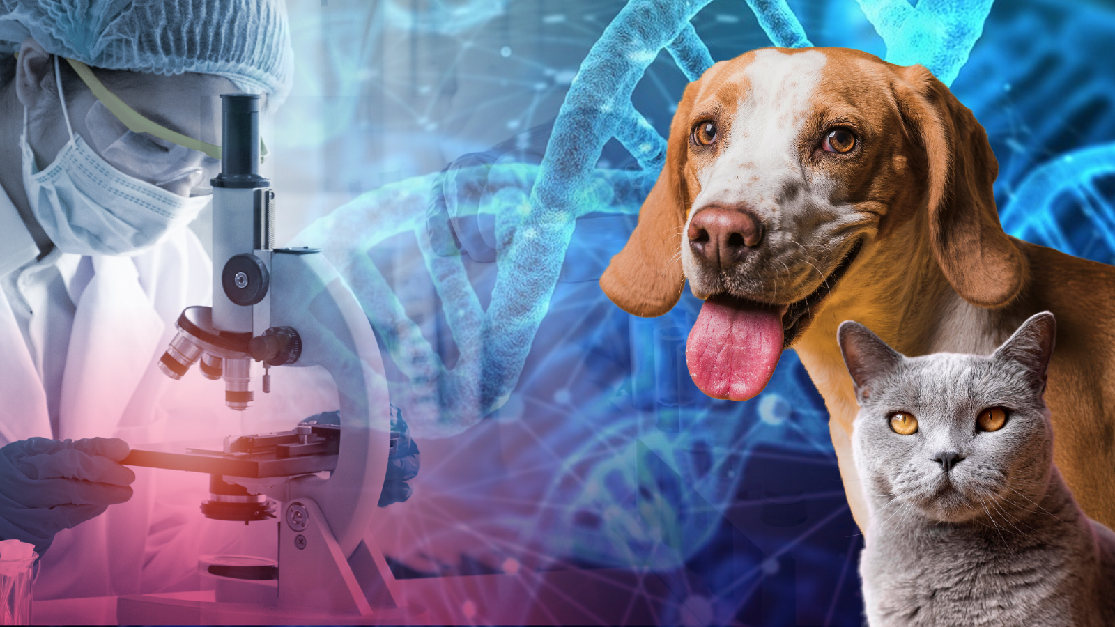 Longevity’de öne çıkanlar: Sirtuinlerle hücresel gençliğe yolculuk