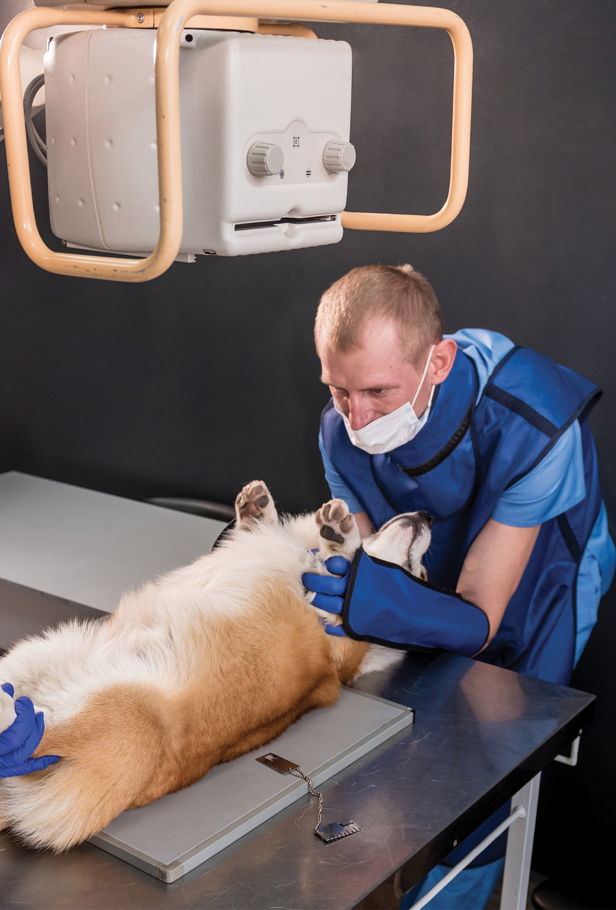 Kuralına uygun röntgenleri nasıl çekebiliriz?