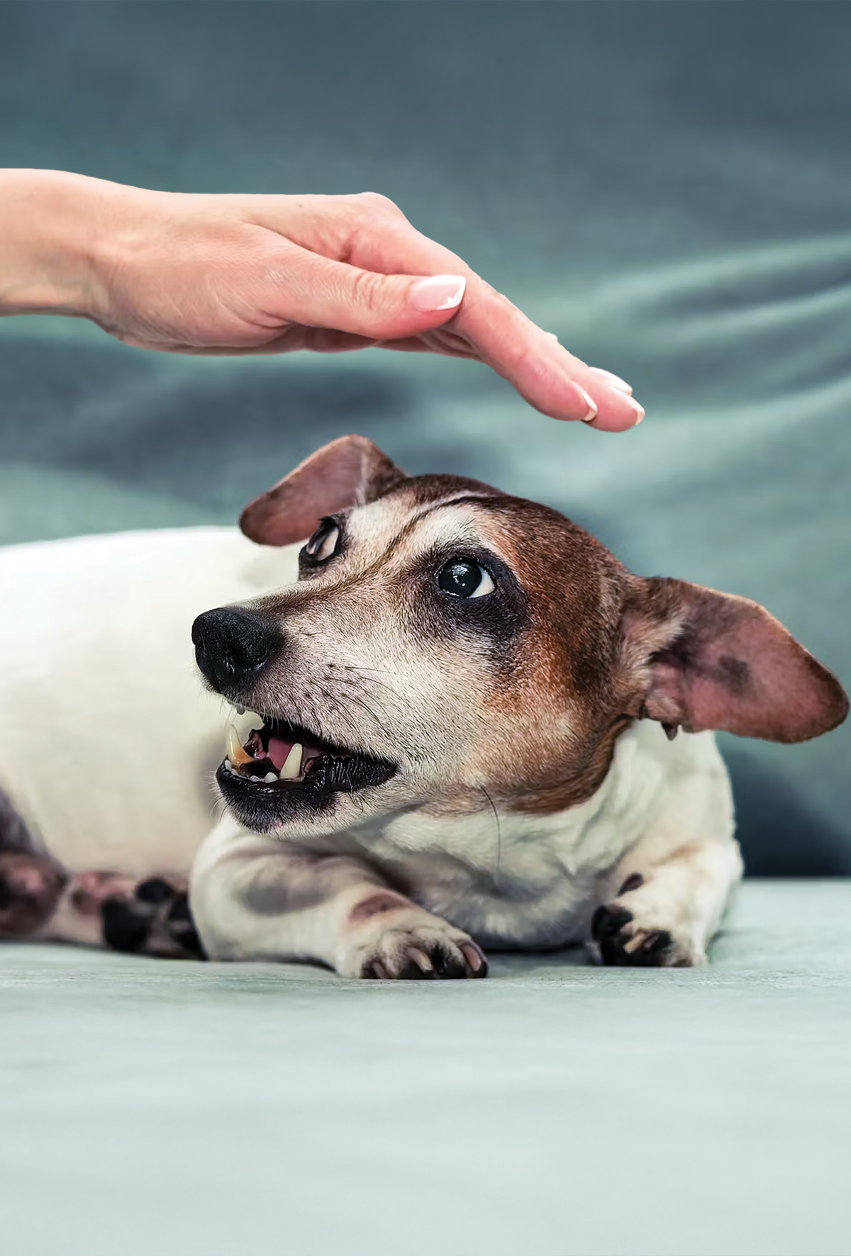 Anksiyeteyle bağlantılı erken yaşam deneyimleri