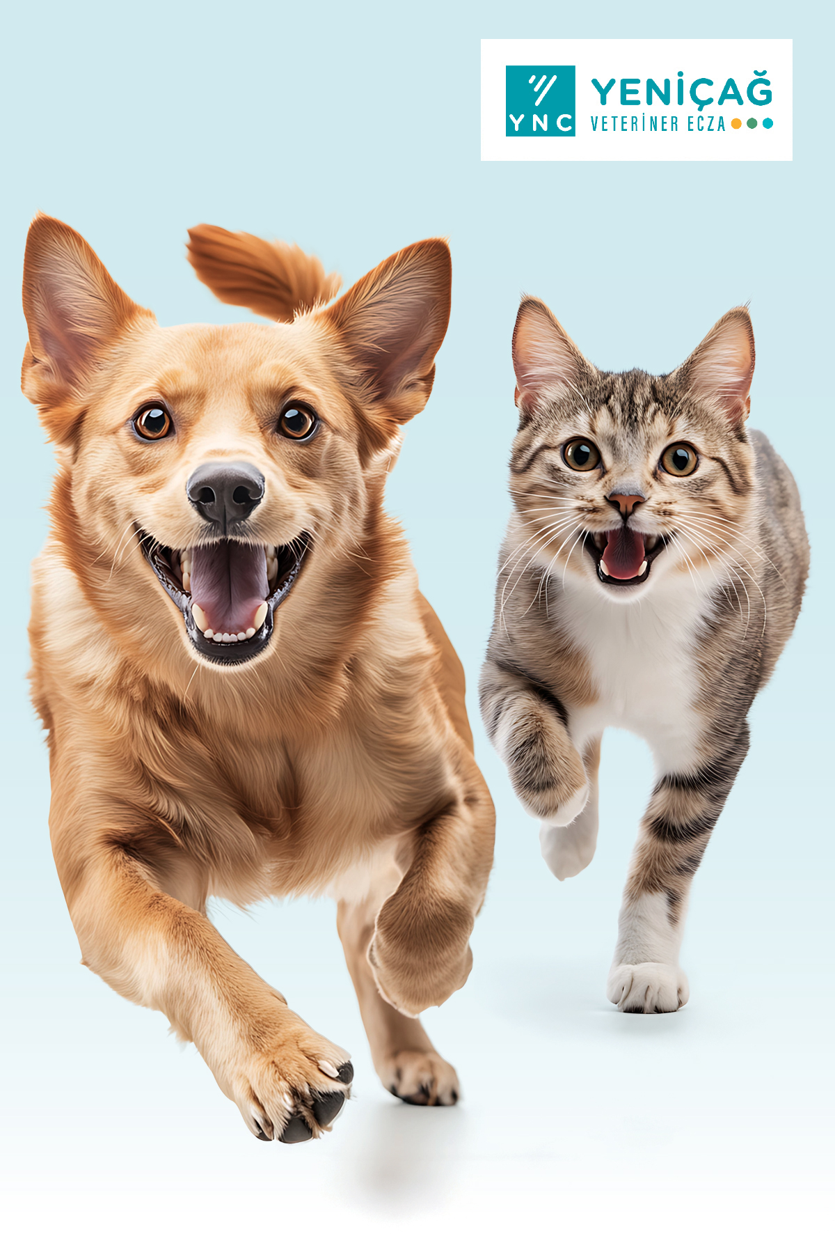 Mikronize resveratrol: Sağlıklı metabolizmave uzun ömür formülü