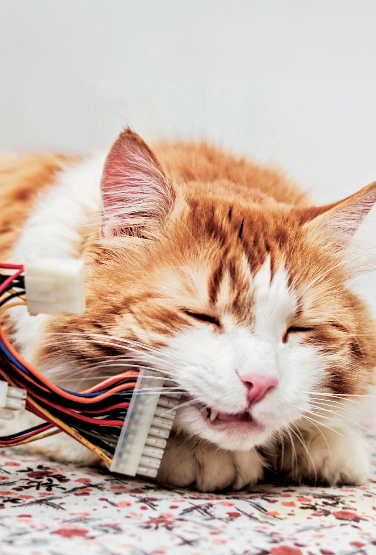 Kazaları önlemek için davranışın doğasını kullanmanın yolları