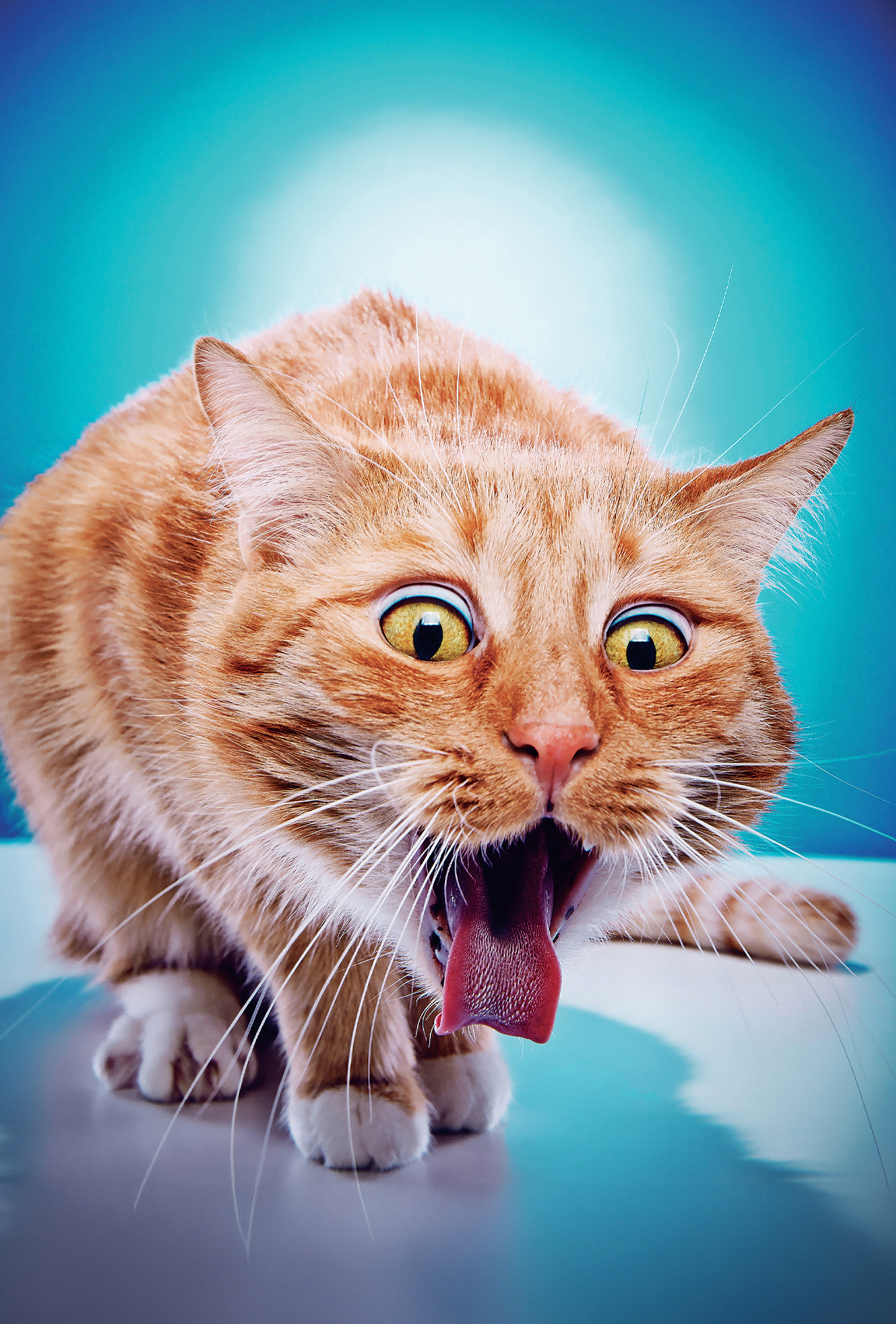 Emesis indüksiyonu işleminde dikkat edilmesi gereken durumlar