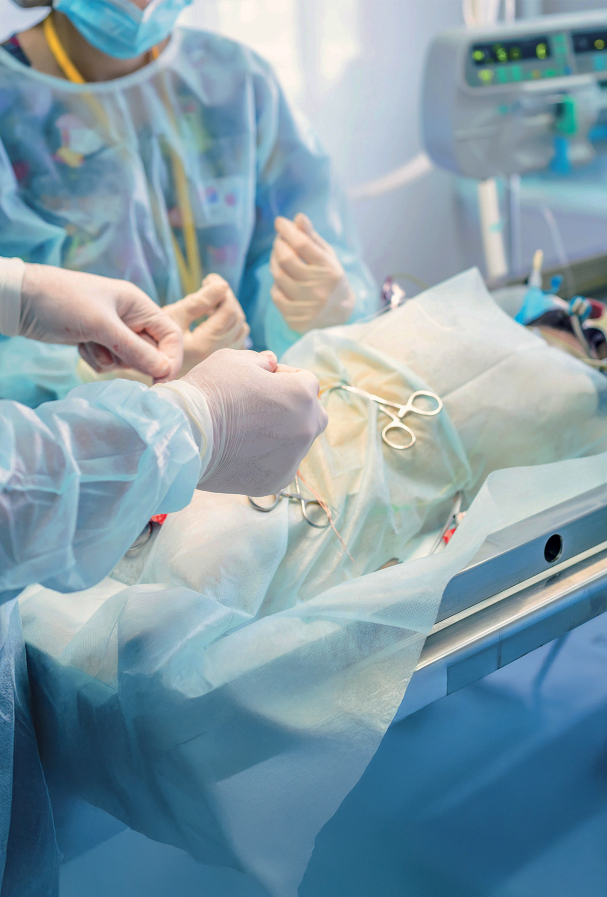 Gonadektominin komplikasyonları ve evcil hayvanların sağlığı