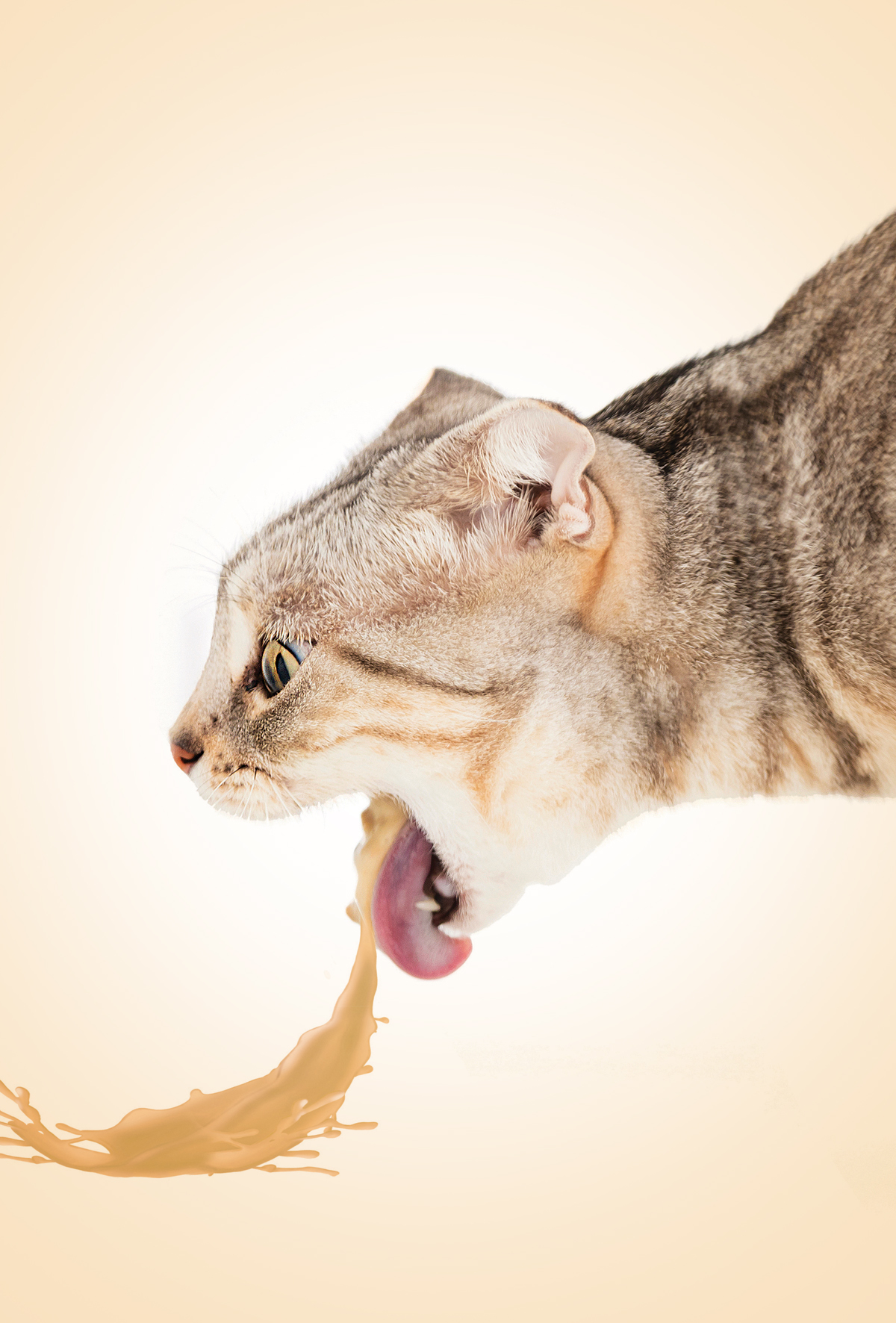 Kusma mekanizması ve antiemetik ilaç seçimi