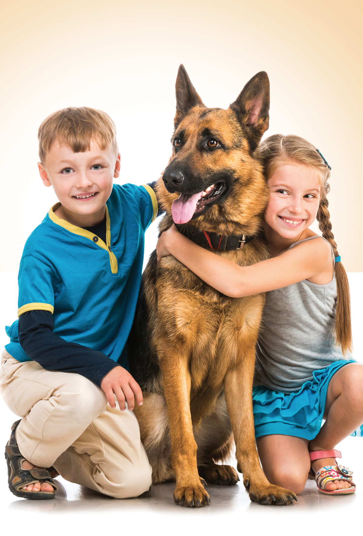 Evcil hayvanlar ile yakınları arasındaki ilişki dinamiği