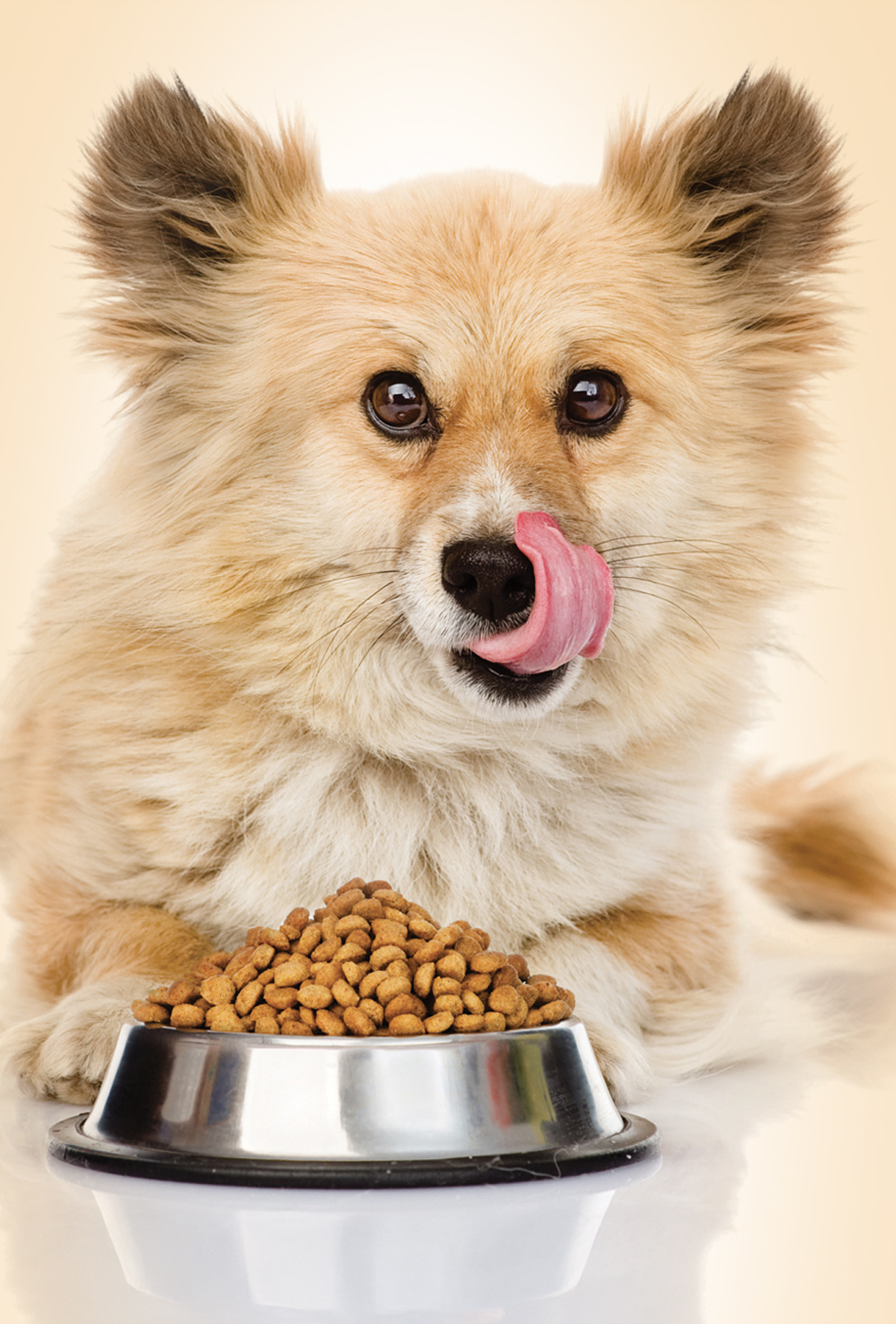 Beslenme davranışlarını bilerek hastalıkları önlemek