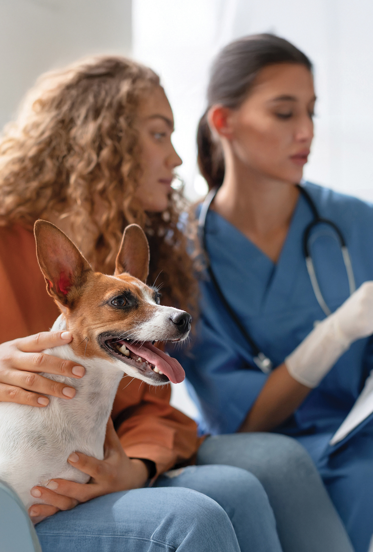 cPLI artışı klinik pankreatitle bağlantısız