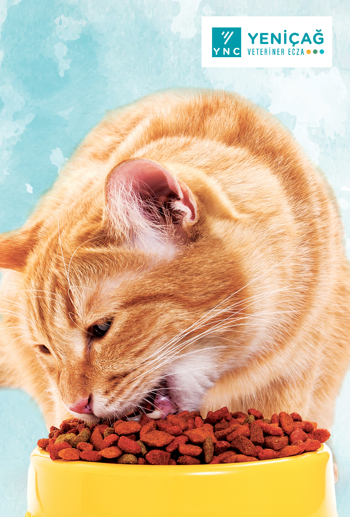 Yeniçağ’ın destek ürünleri ve doğru beslenme ile patili dostlar güvende