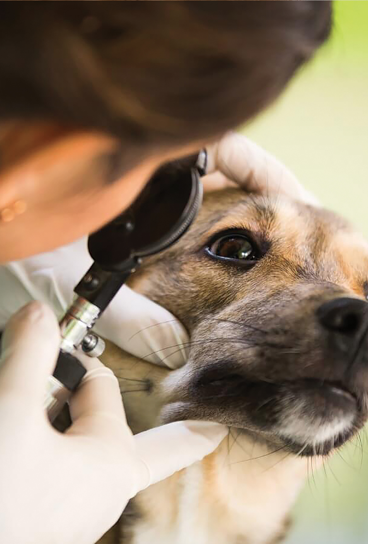 Lens luksasyonu: Sebepleri ve sonuçları