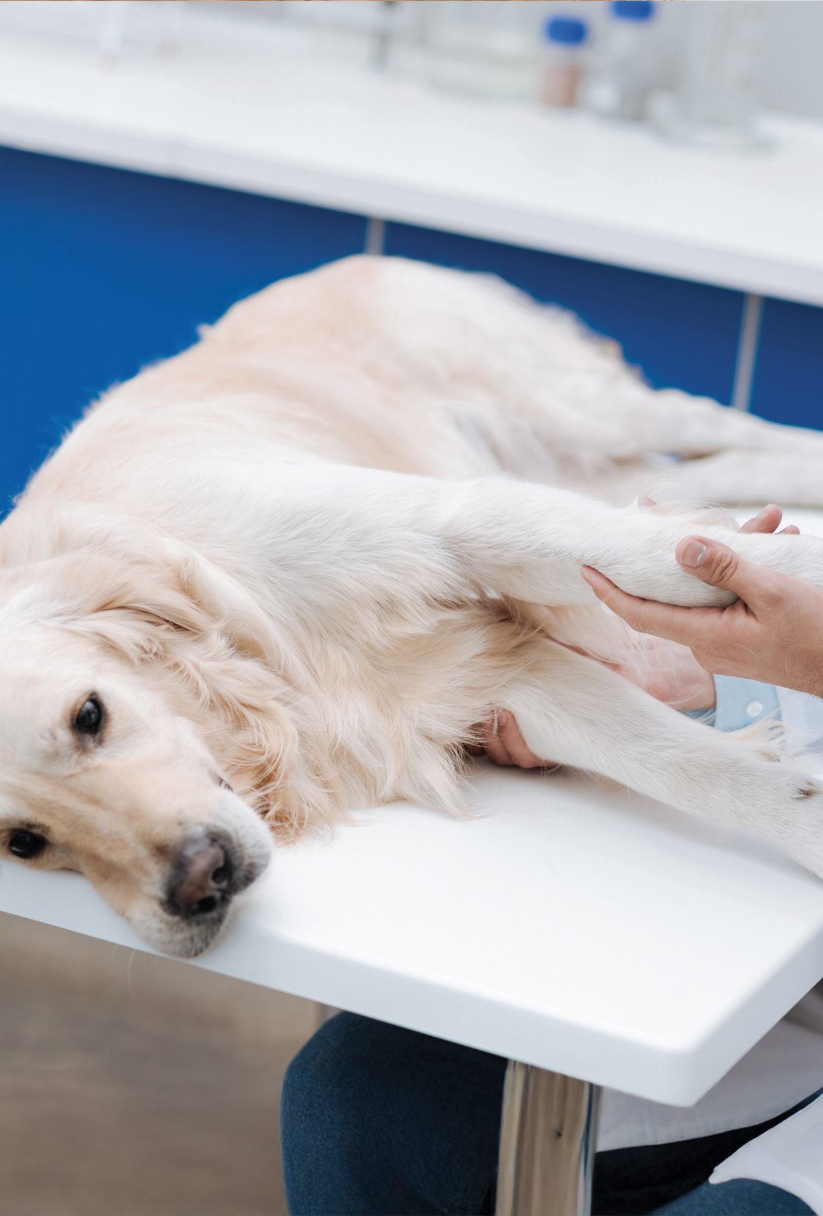 Kas-iskelet sistemi hastalıklarını nörolojik hastalıklardan ayırmak