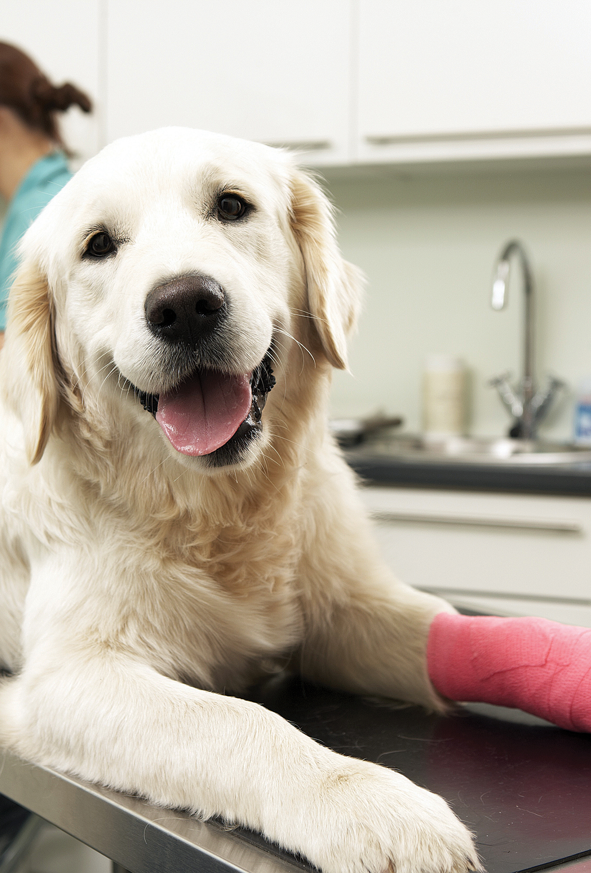 Adipoz kaynaklı kök hücreler umut veriyor