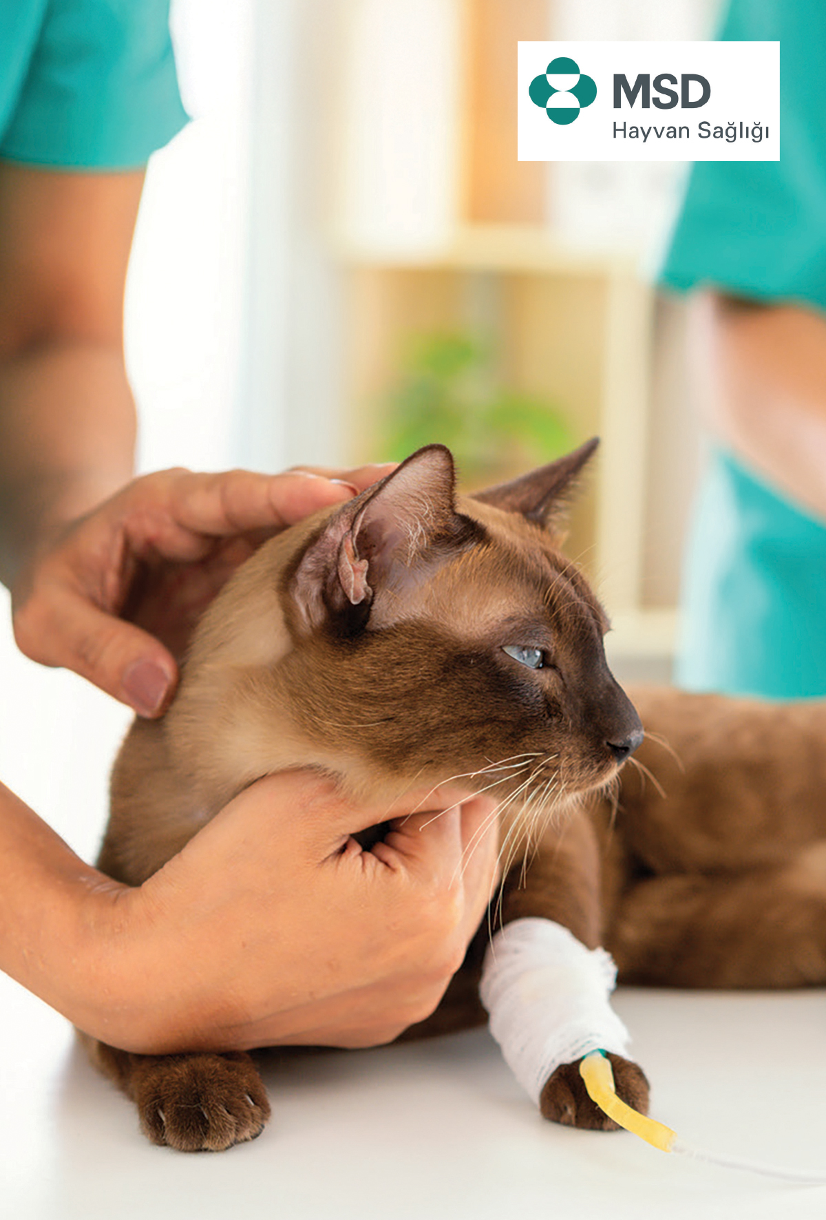 Paraziter hastalıklarla Mücadelede bilimin gücü: ESCCAP rehberliğinde bilimsel yaklaşım