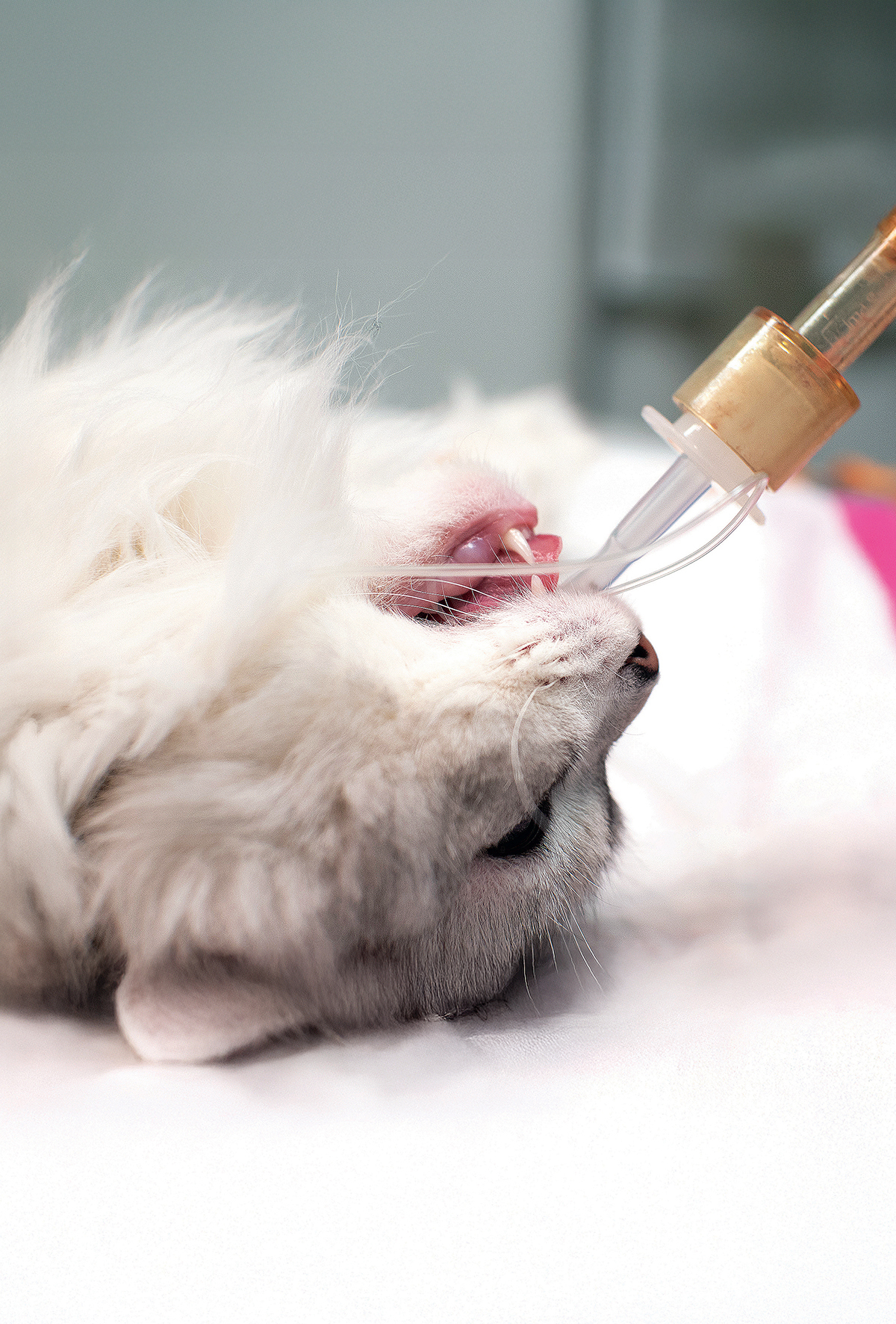 Dexmedetomidin ile daha konforlu anestezi!