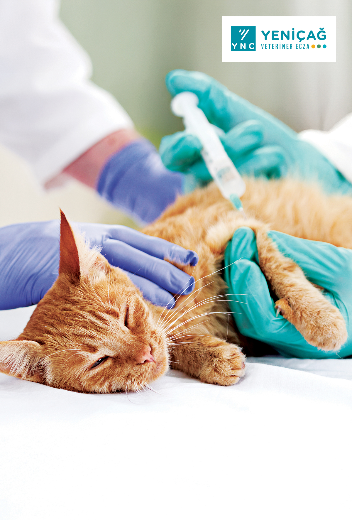 Viusid® (Catalysis) ve Veteriner hekimlikte immün destekleyici yaklaşımlar