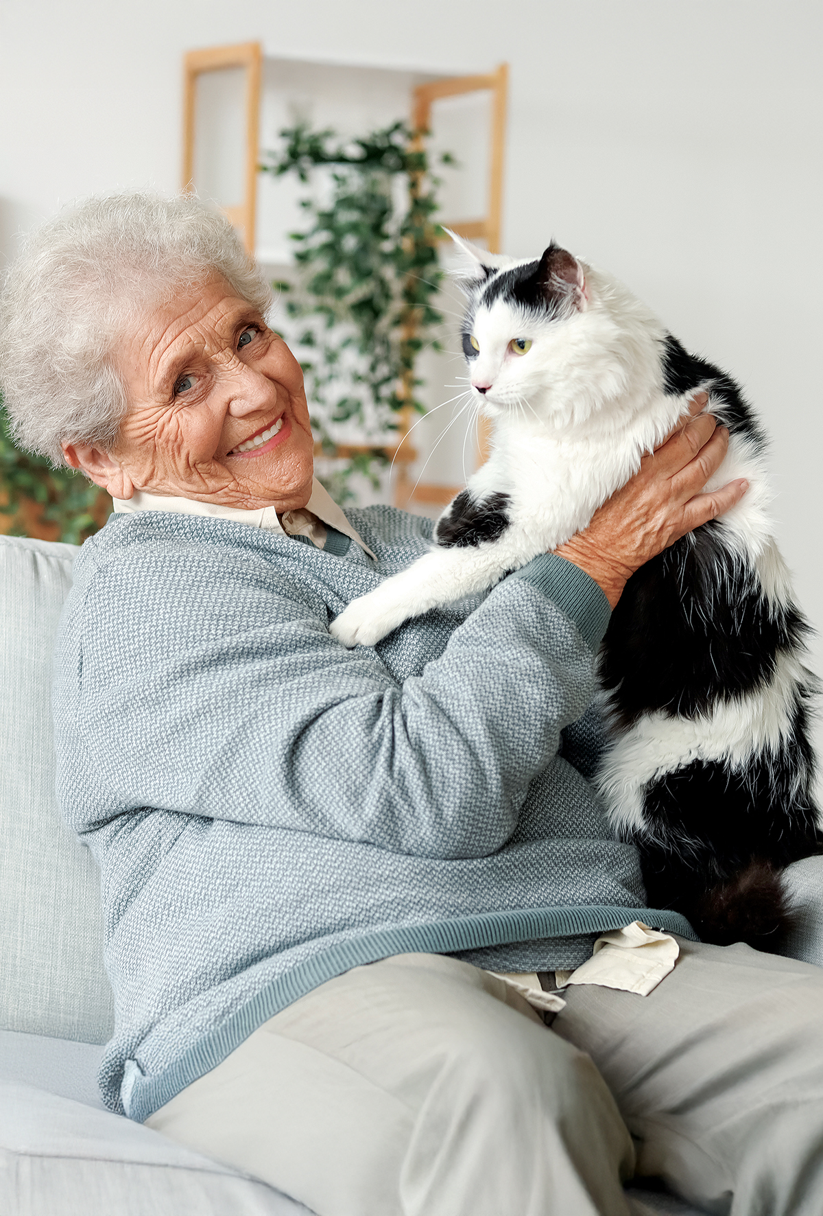 Evcil hayvanlar eşliğinde genç kalmaya devam eden zihinler!