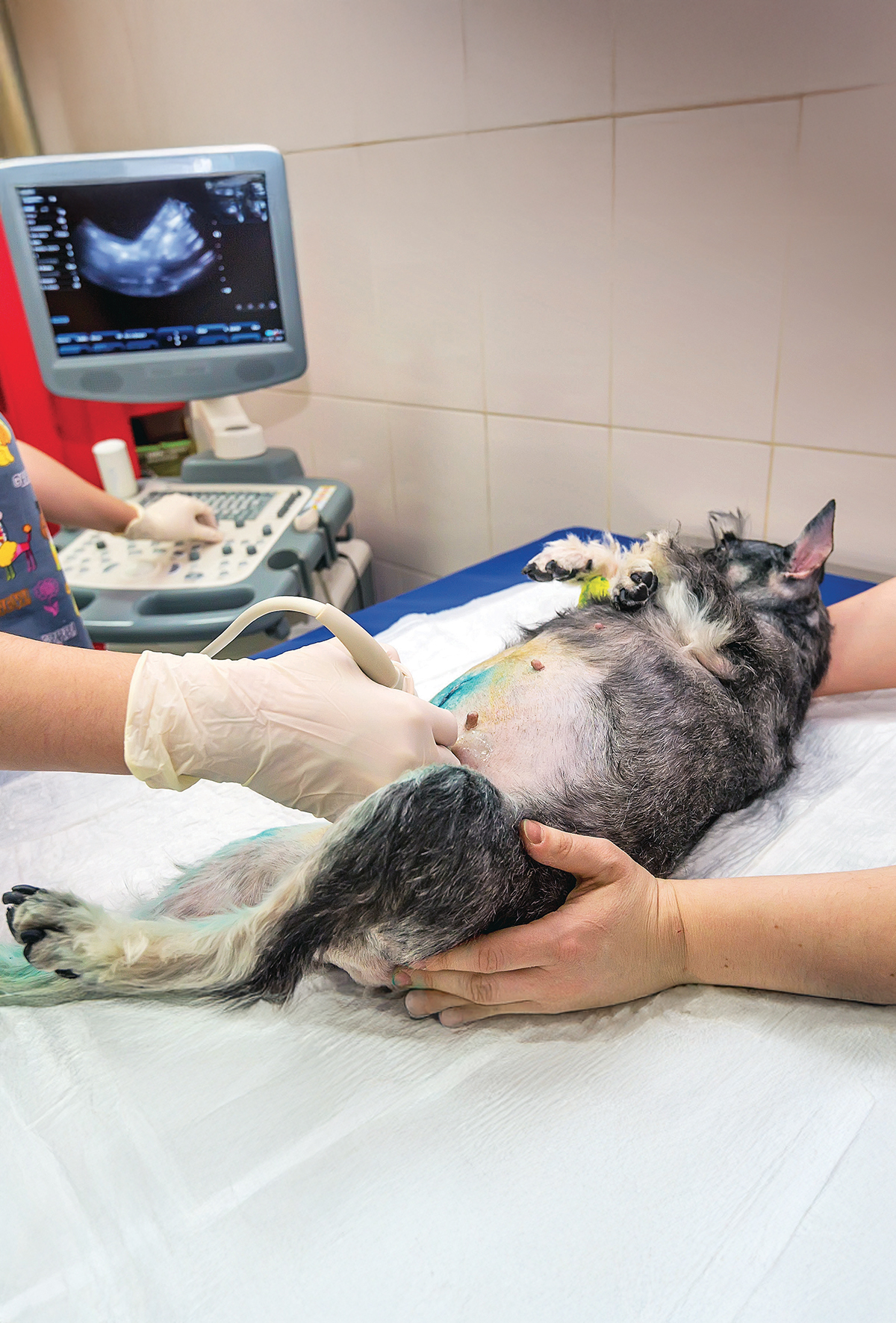 Ovaryum kalıntısı sendromu