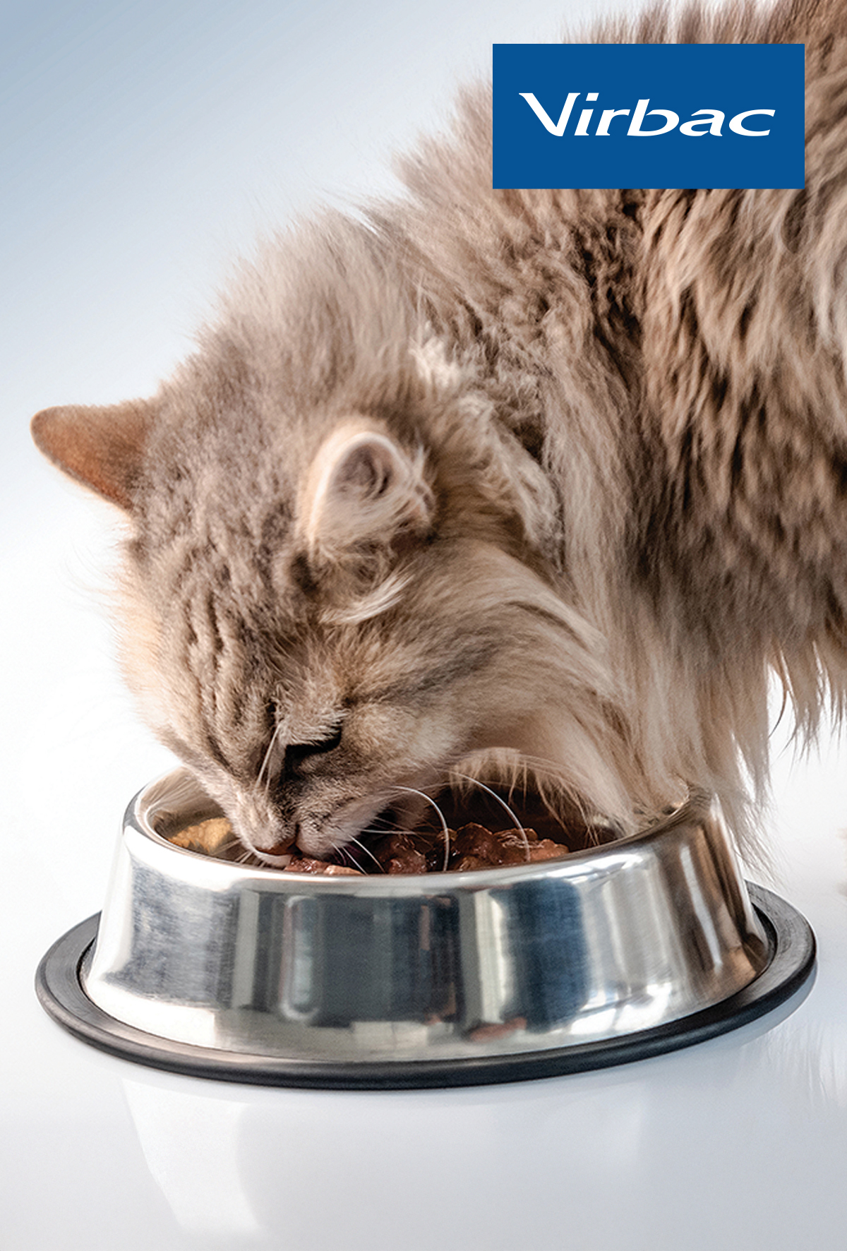 Virbac Vetcentric: Hekim odaklıklinik yaklaşım