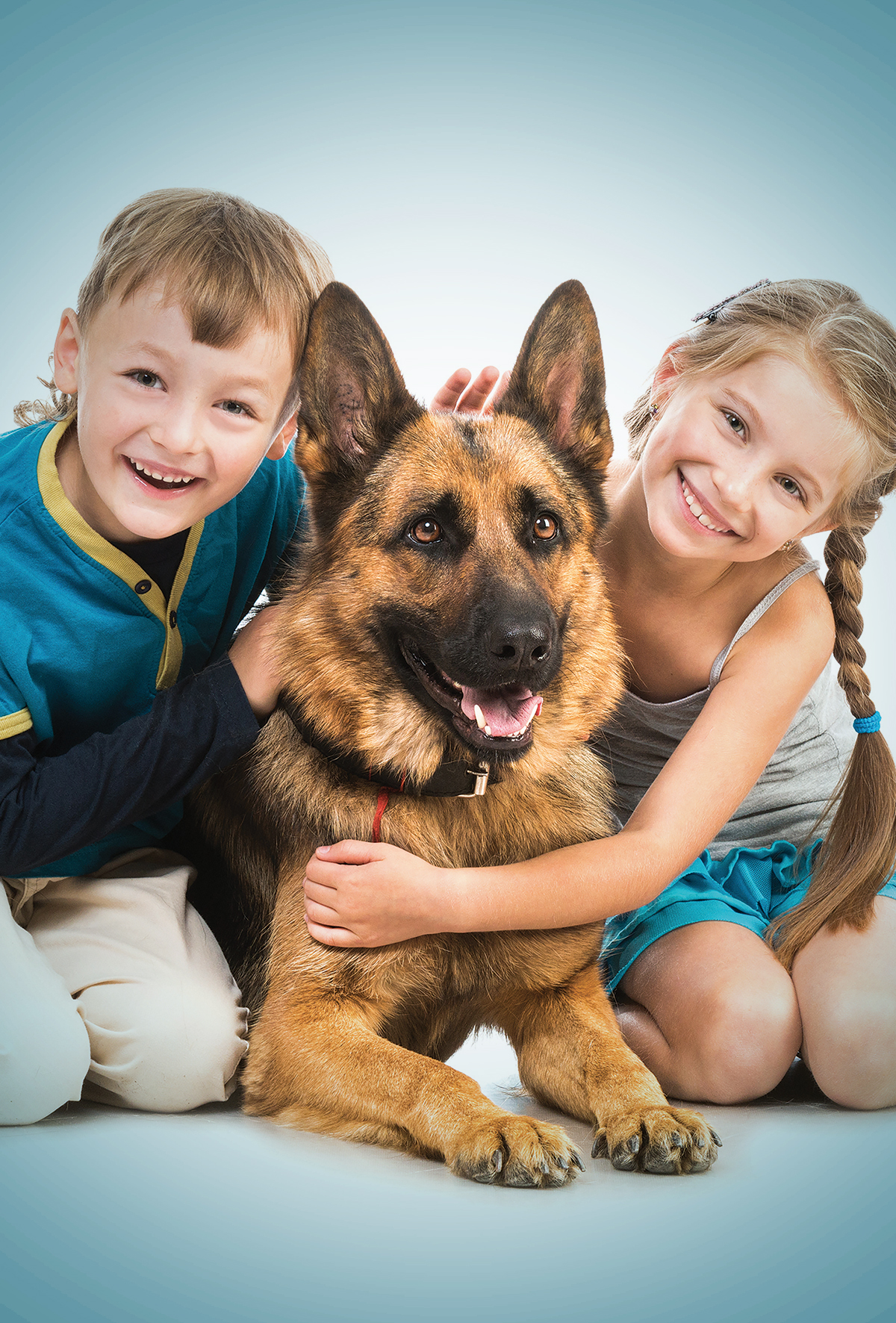 Kısa süreli geçici aile, sahipsiz köpeklerde stresi azaltıyor!