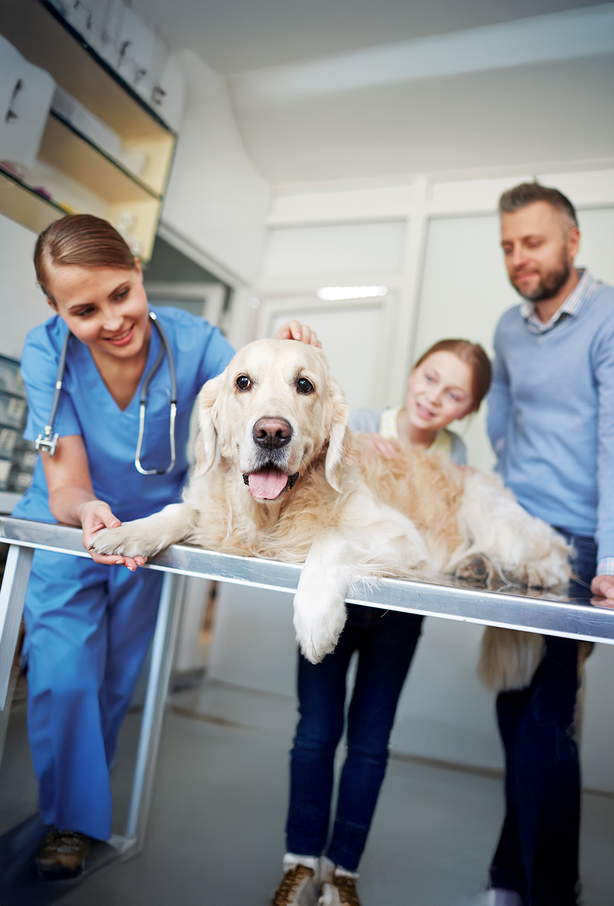 Kliniklerde iyi iletişim kurmak ne kadar önemlidir?