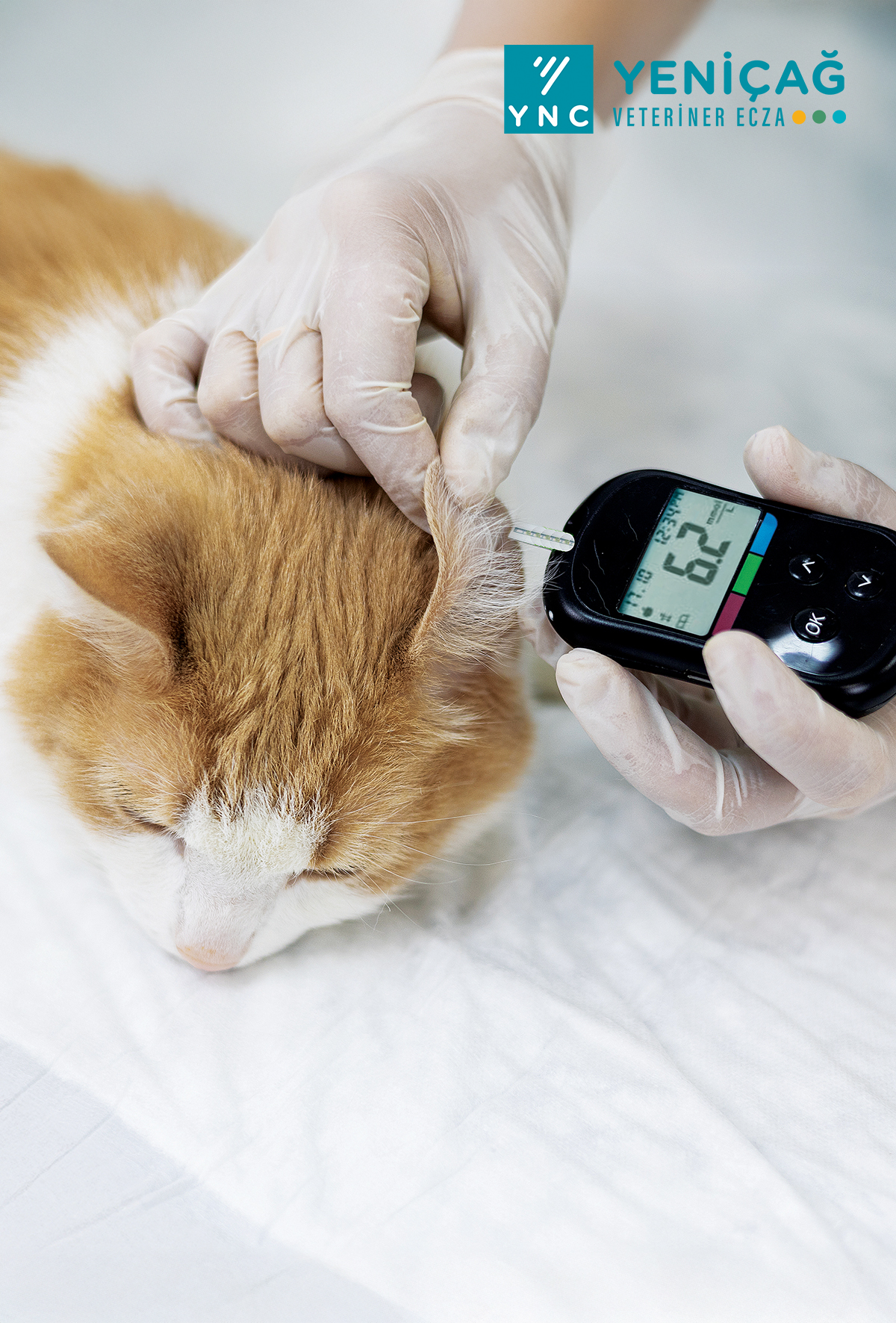 Diyabet yönetiminde yeni bir dönem: Multimodal yaklaşım ve moleküler aktivasyon gücü