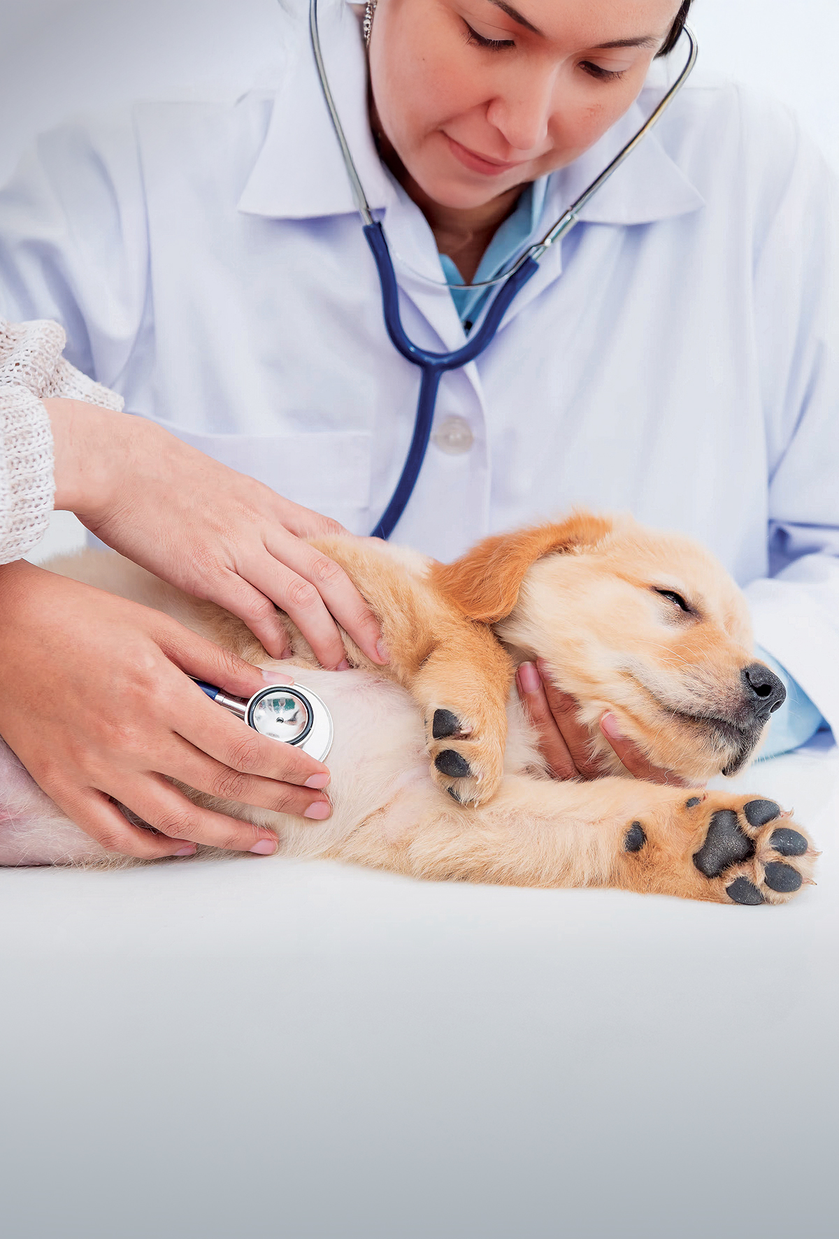 Kardiyak Plot Twistler