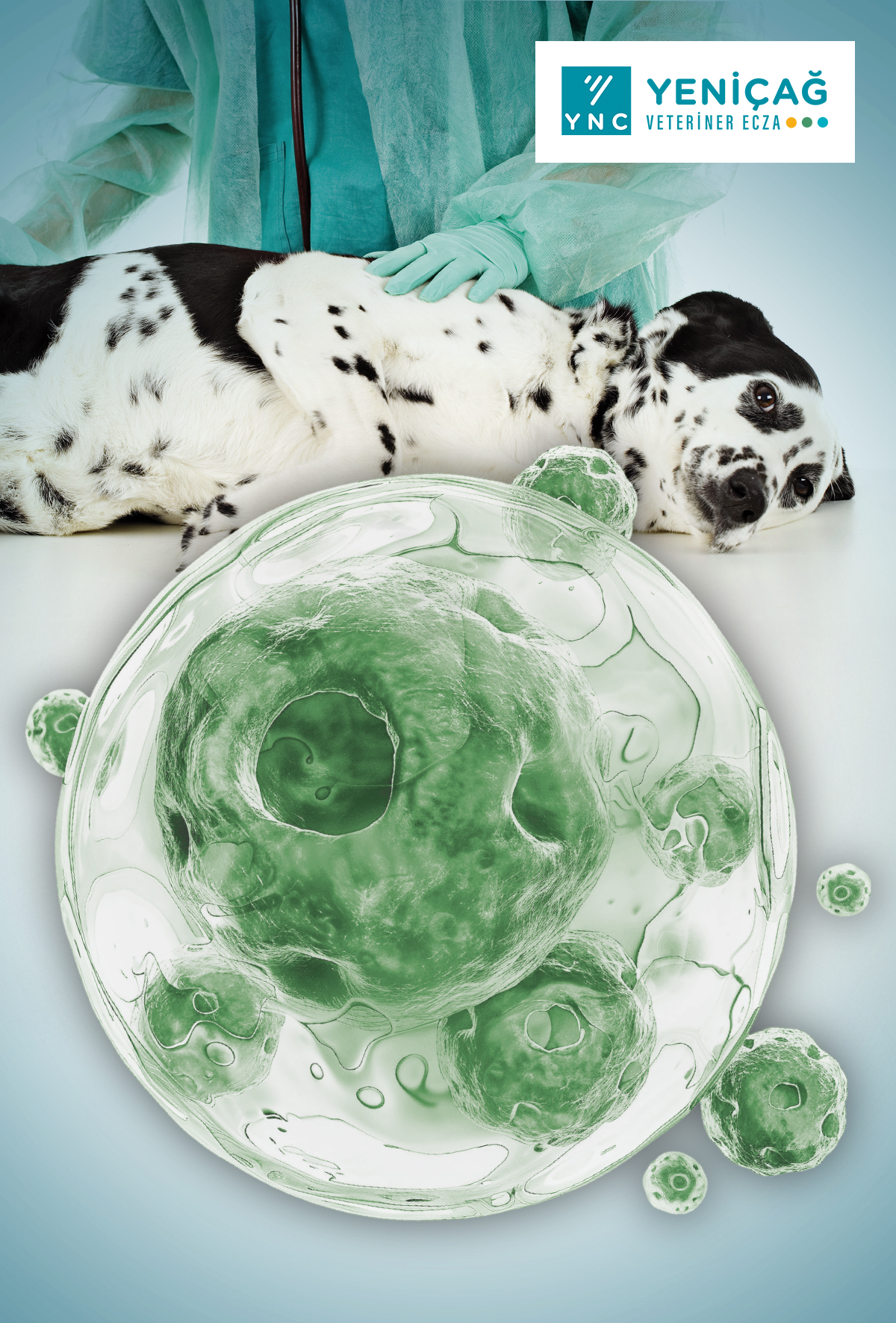 Tümörlere karşı savaşta çok yönlü etken: Ocoxin Pets