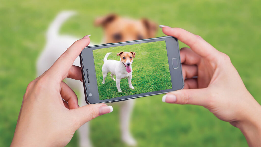 Klinikte yeni nesil yürüyüş analizi: İşaretsiz sistemler