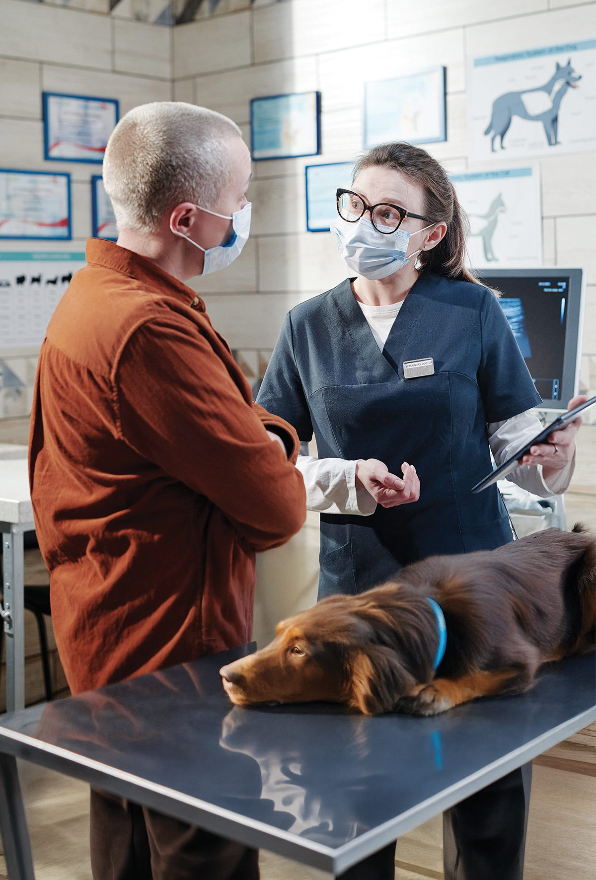 Hasta sahibinin şikâyet sürecini neler, nasıl şekillendiriyor?