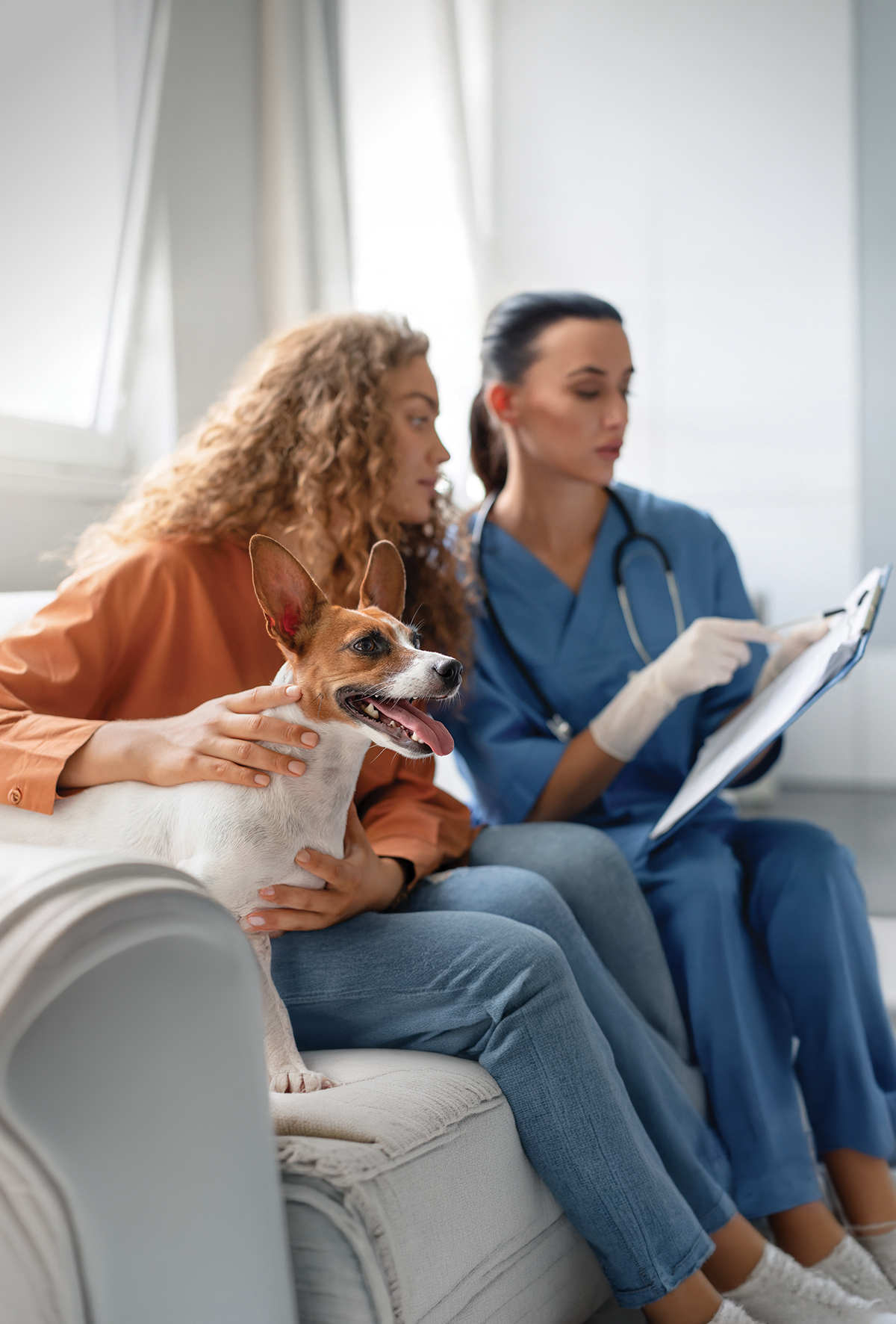 Tedavi mi, bütçe mi? Veteriner hekimliğin görünmeyen yüzü