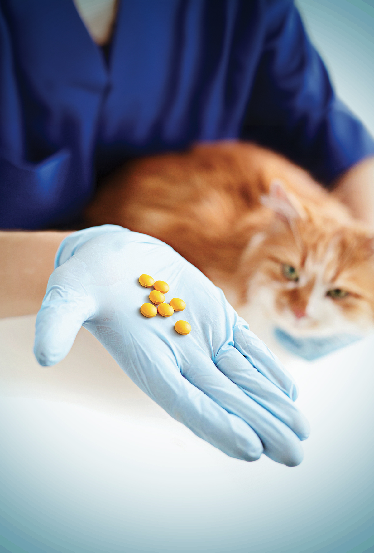 İlaçların metabolizma yolları ve kombinasyonları