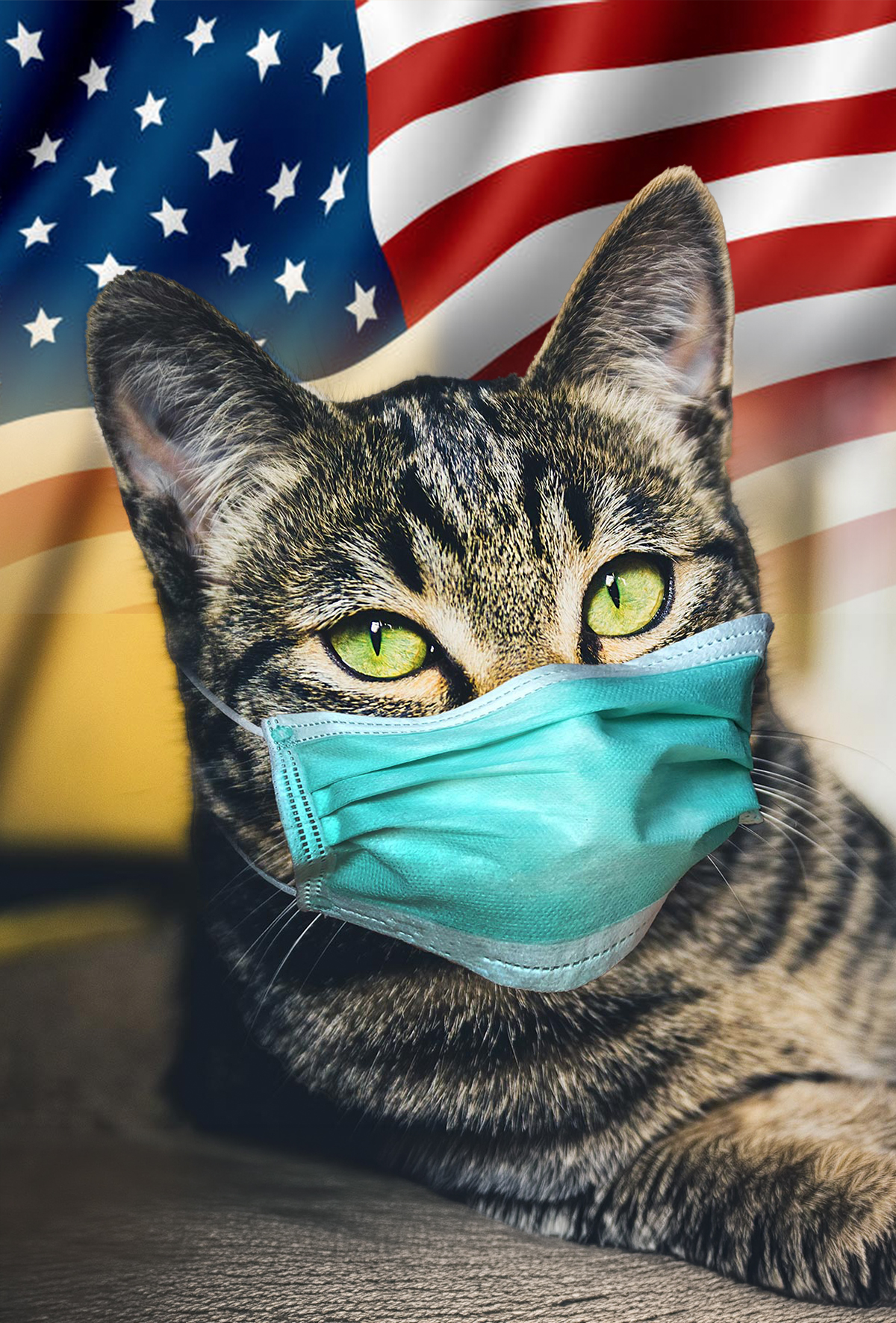 Sessiz tehditgeri döndü: Feline coronavirus ABD’de görüldü