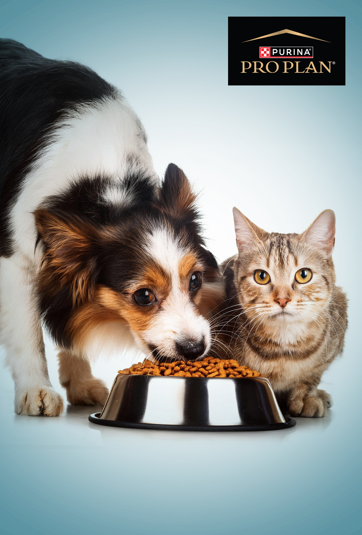 Sindirim sağlığına PURINA PRO PLAN’nın katkıları